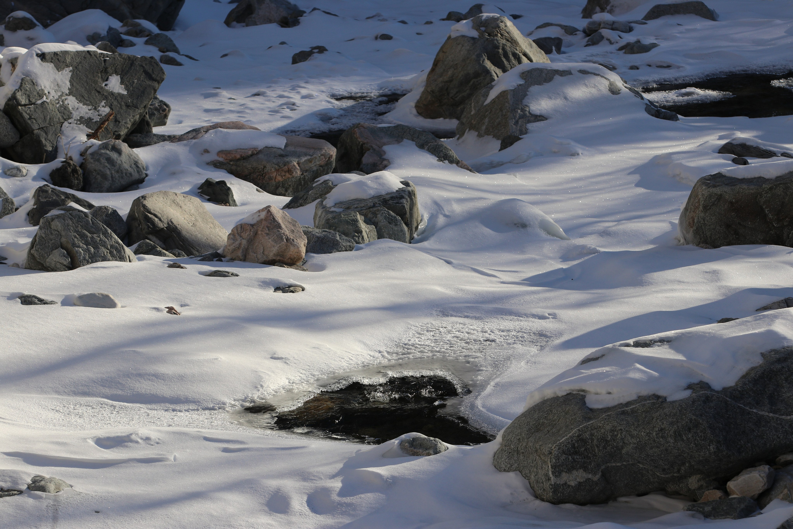 Аршан. Январь 2022. Путешественник-фотограф из Санкт-Петербурга Татьяна Свистулина