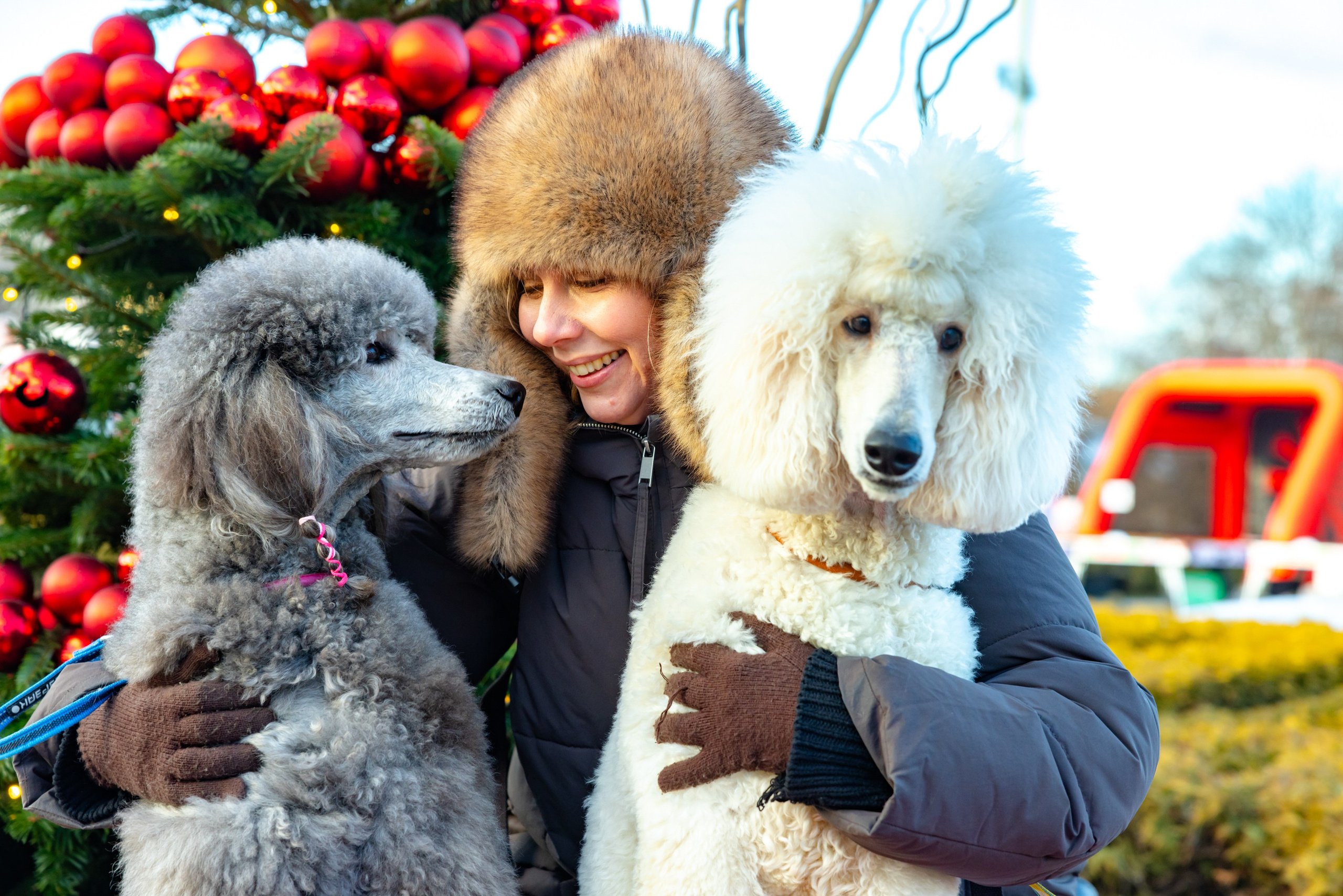 Клуб грумеров (прогулка и семинары). Виктория Зудина — фотограф в Москве