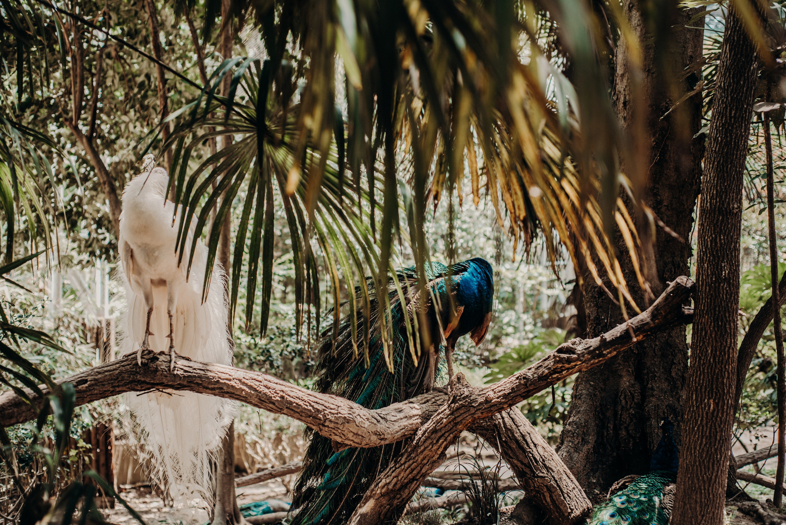 Рекламный фотограф из Гуанчжоу: вдохновение в улицах Шанхая. Коммерческий и предметный фотограф в Гуанчжоу Коваленко Александр