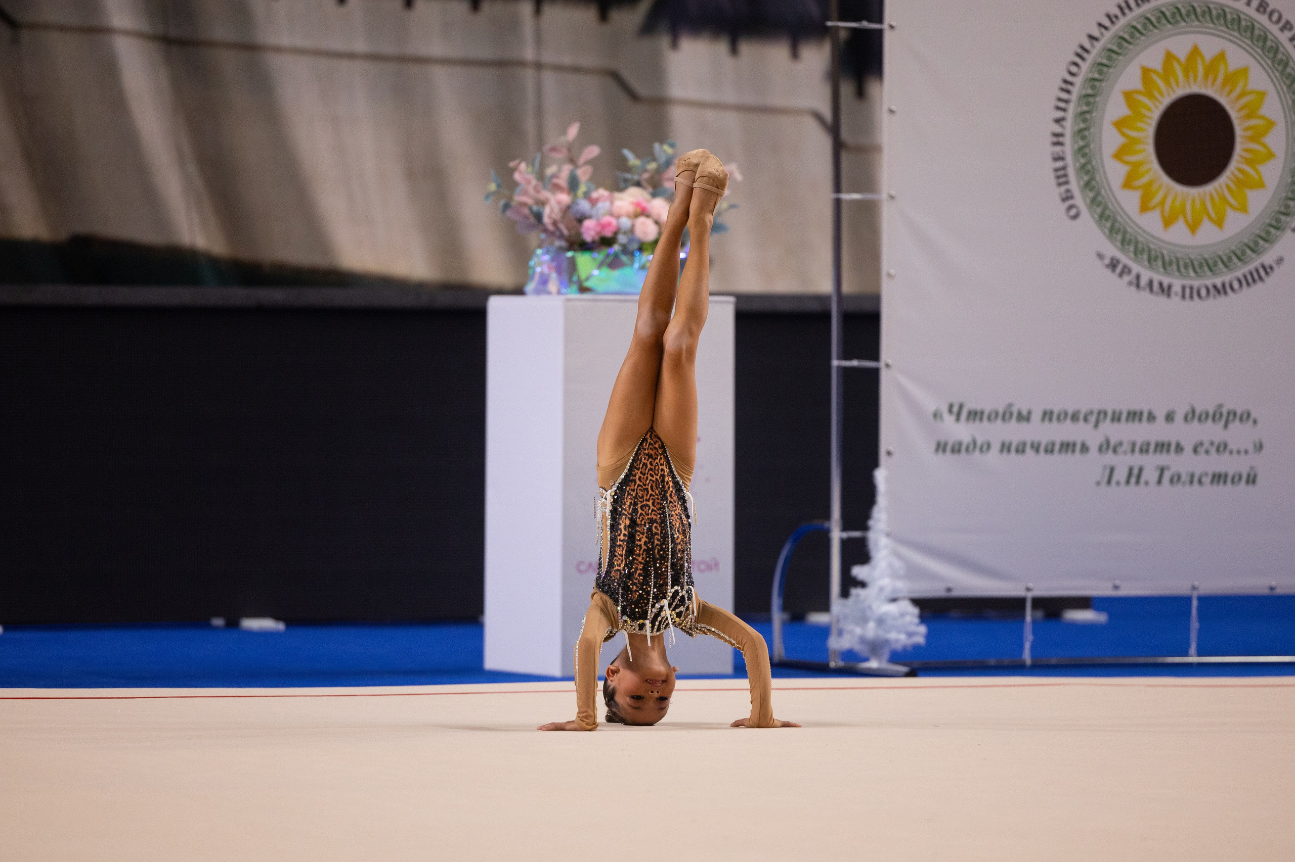Мастер класс хореографа сборной России по художественной гимнастике Кирилла Баркана. Спортивный репортажный фотограф Казань Нафис Сиразетдинов