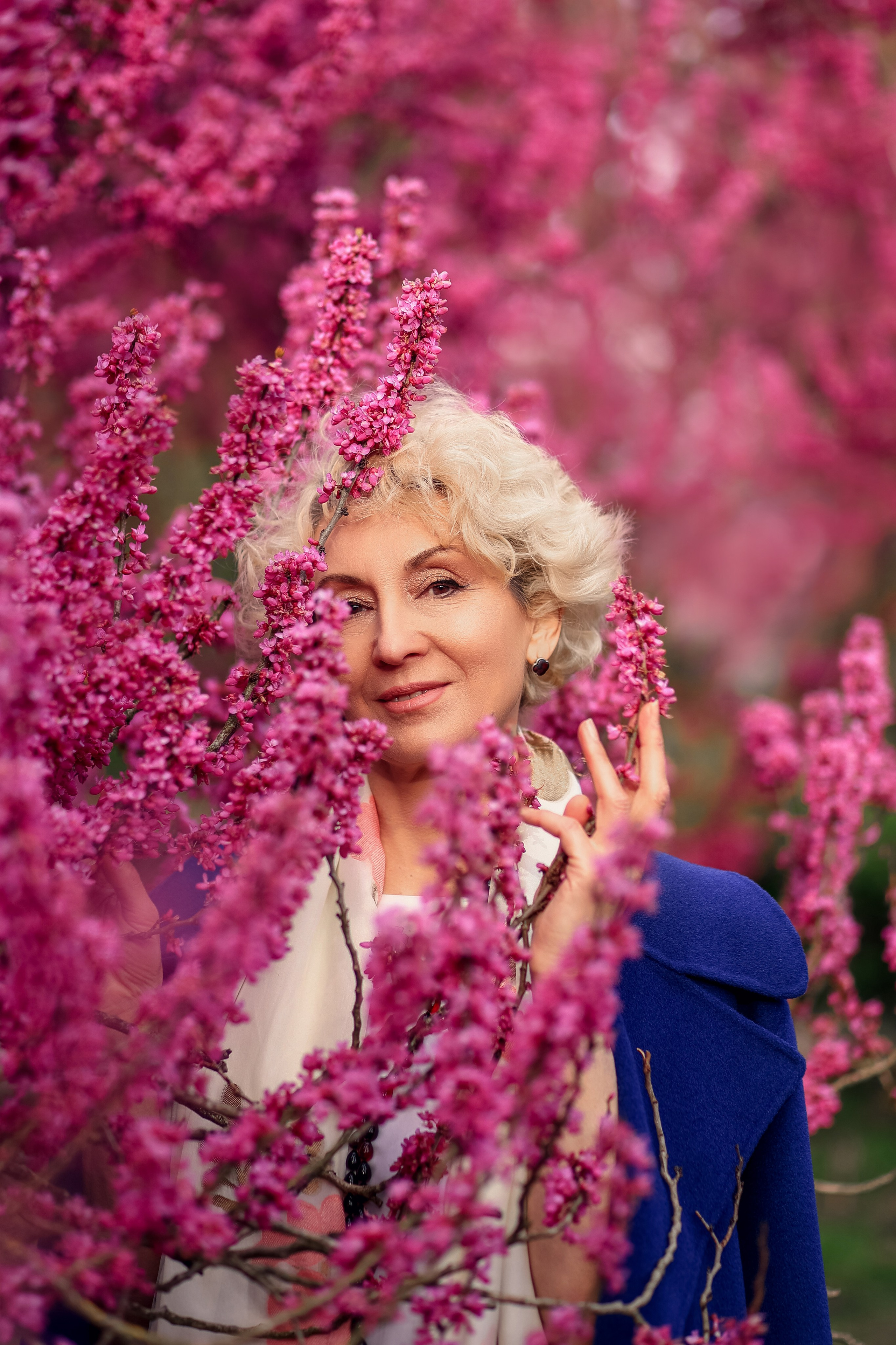 Цветение. Магнолия. Сакура. Фотограф в городе Сочи