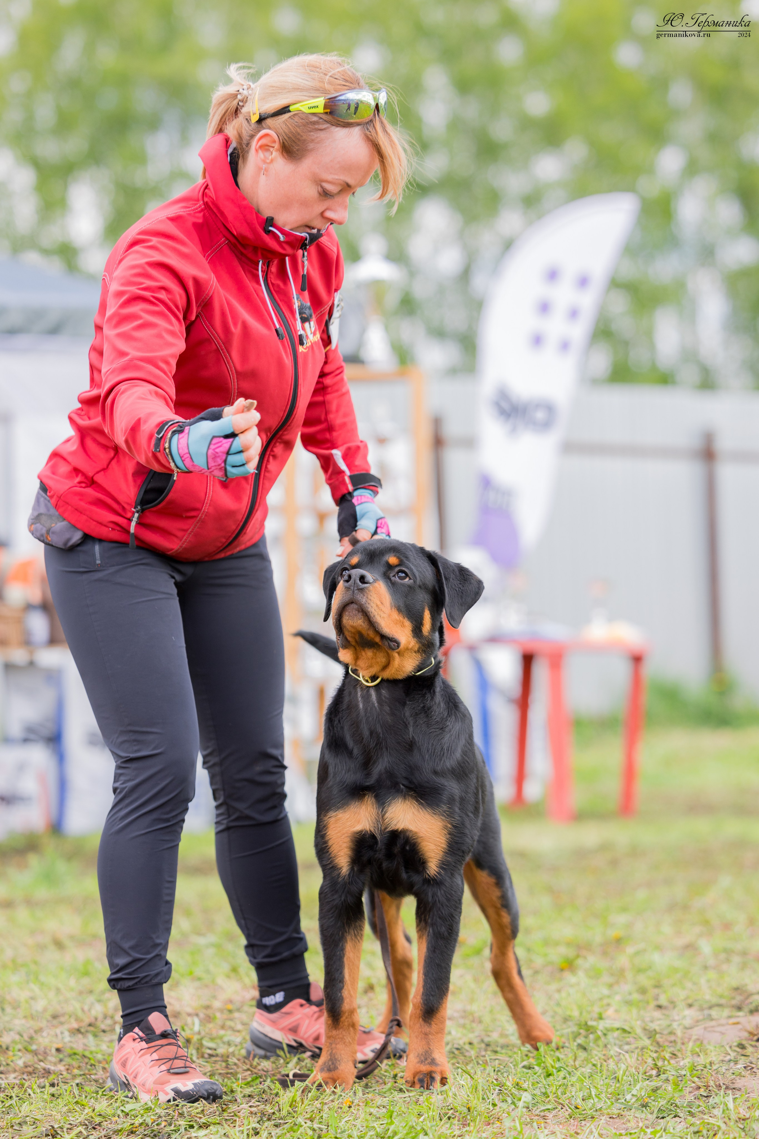 Нижний Новгород 11-12.05.2024 моно ротвейлеров. Фотограф-анималист Юлия Германика