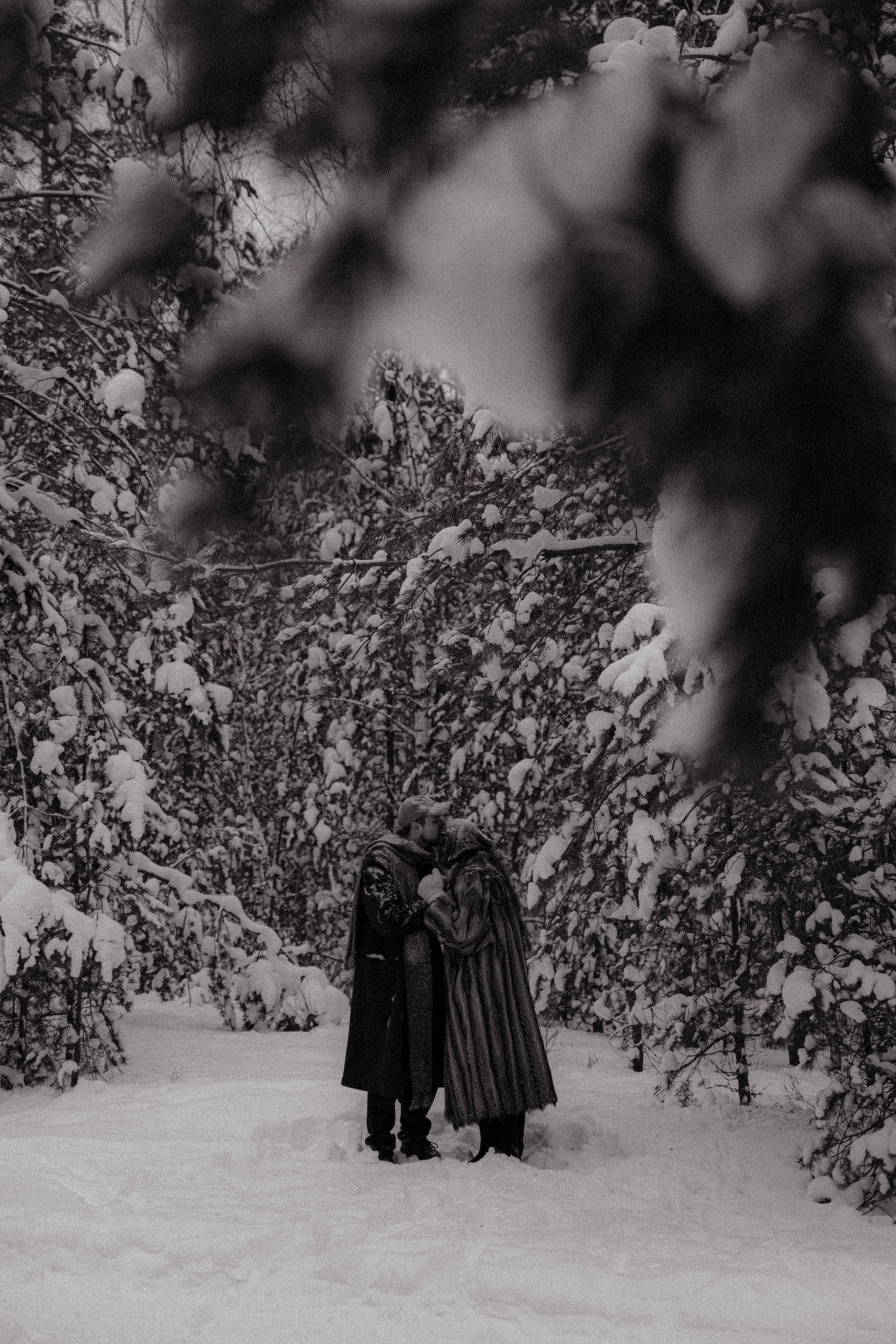 Очень зимние дела. Главная