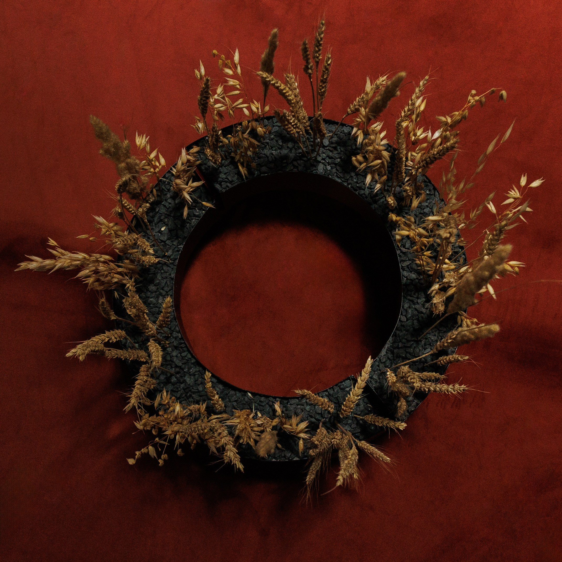 TOBELOVE. Свадебный и семейный фотограф в Краснодаре Роман Моско