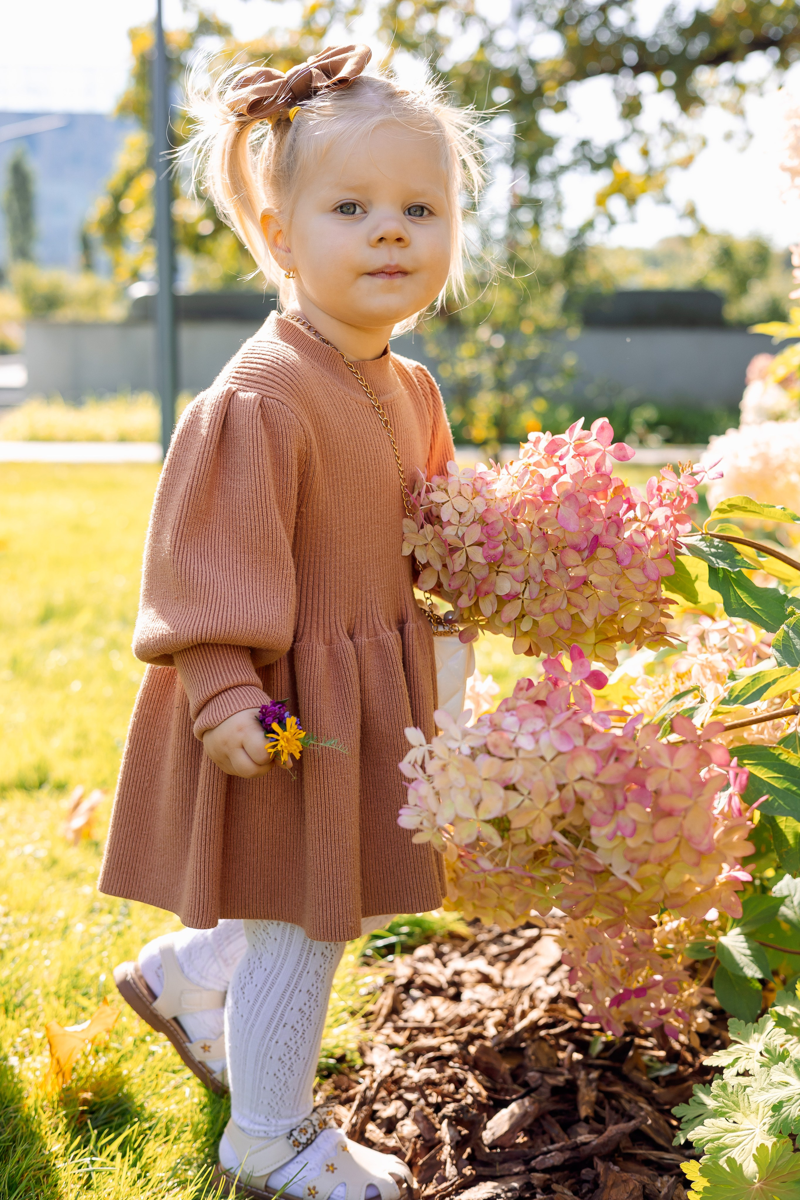 Гортензии и я