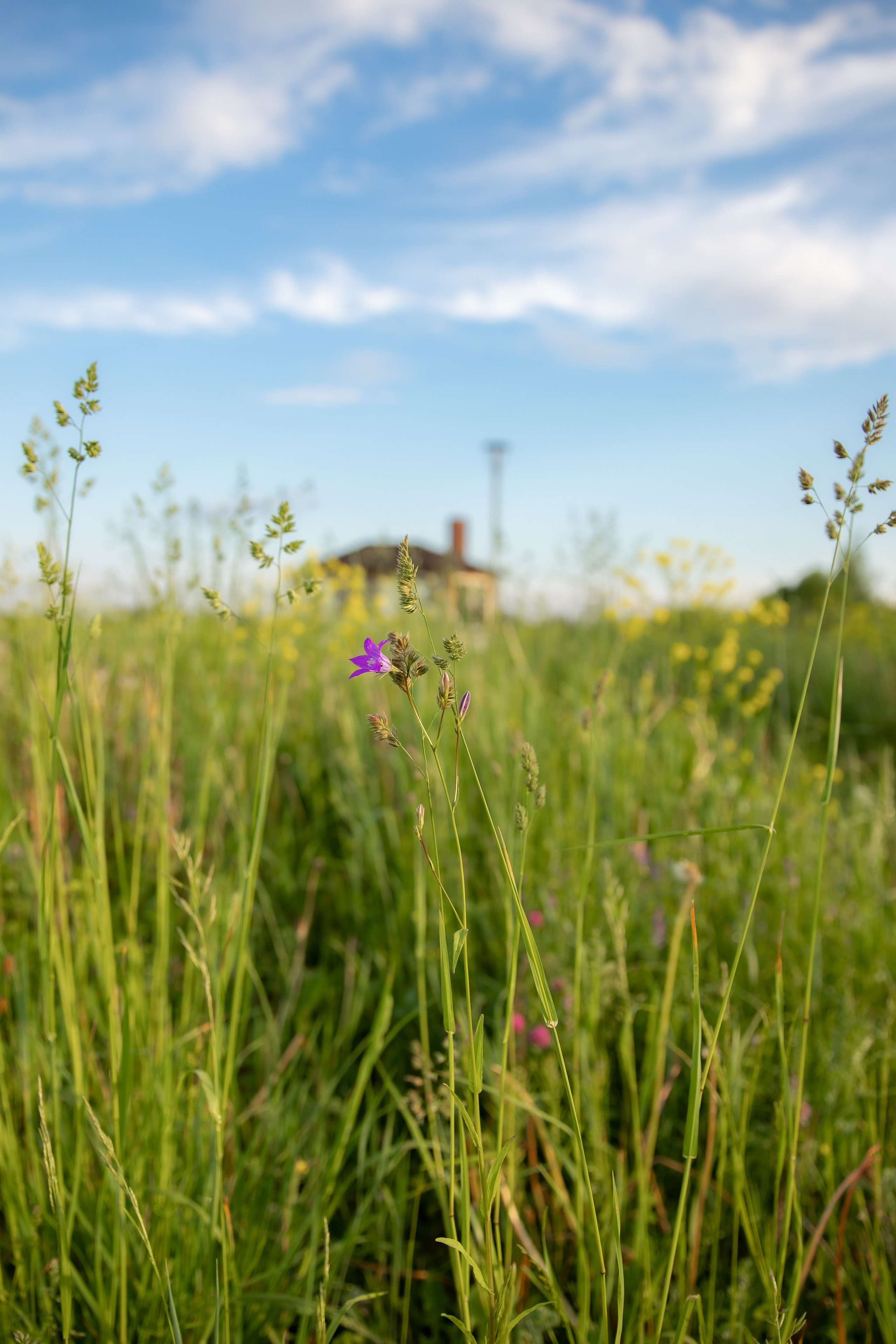 База отдыха в Тверской области. Территория. Фотограф недвижимости и контент-съемки в СПб