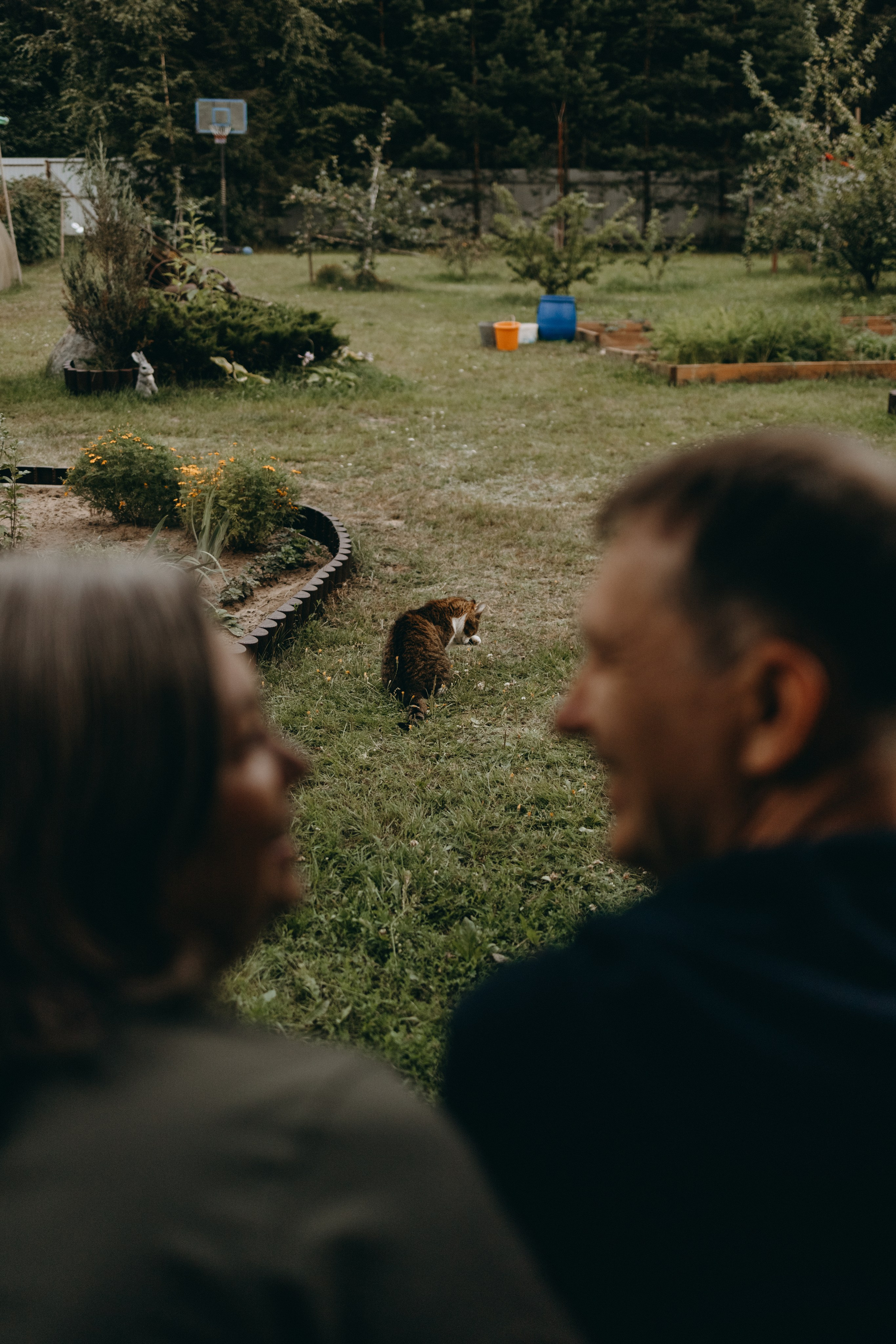 Дом у реки. Фотограф — Анималист | Санкт-Петербург