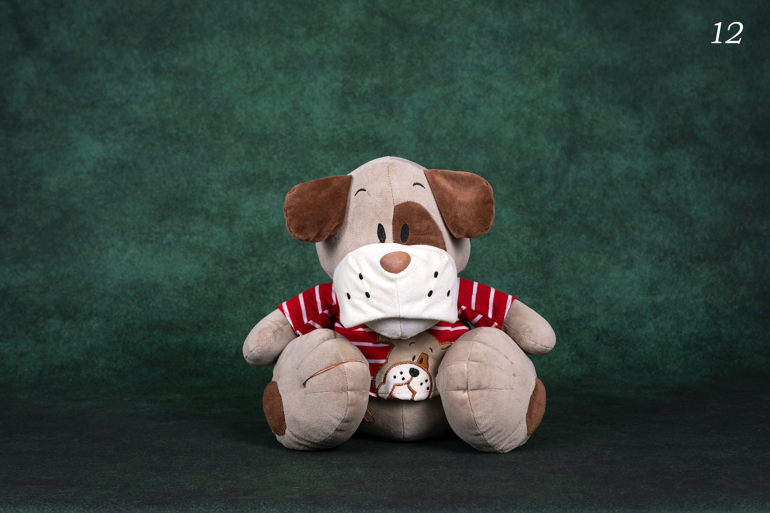 Фоны спектра радуги. Фотограф-анималист в Омске Екатерина Маричева