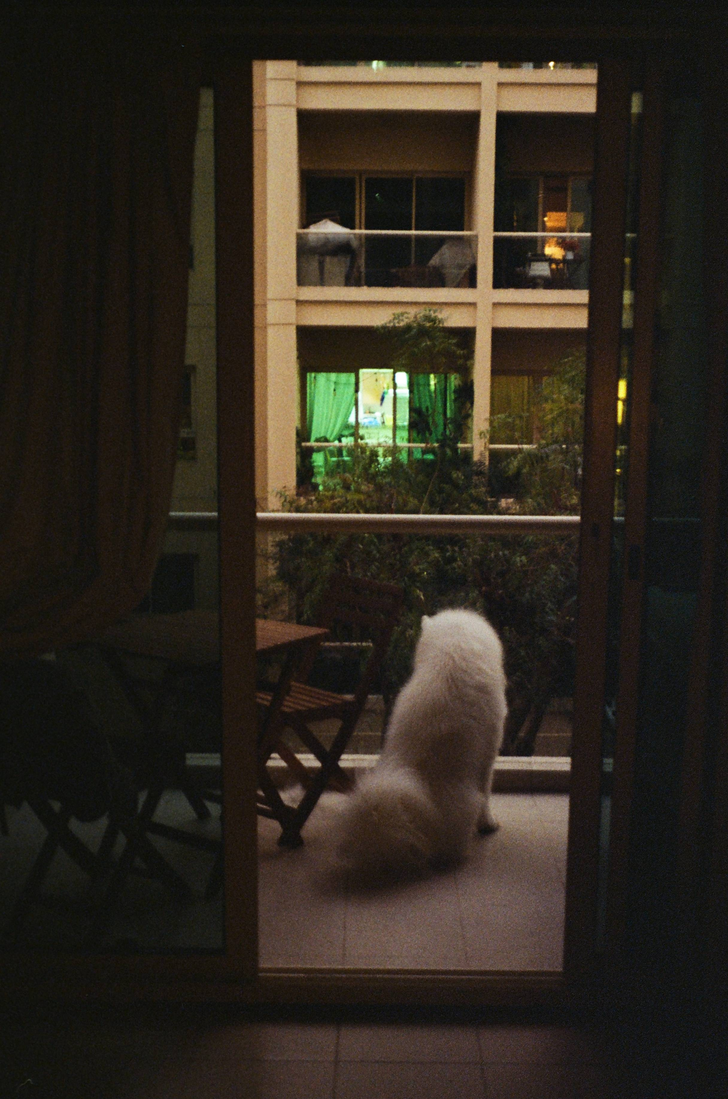 Places. TATIANA DARINA — film photographer in St. Petersburg