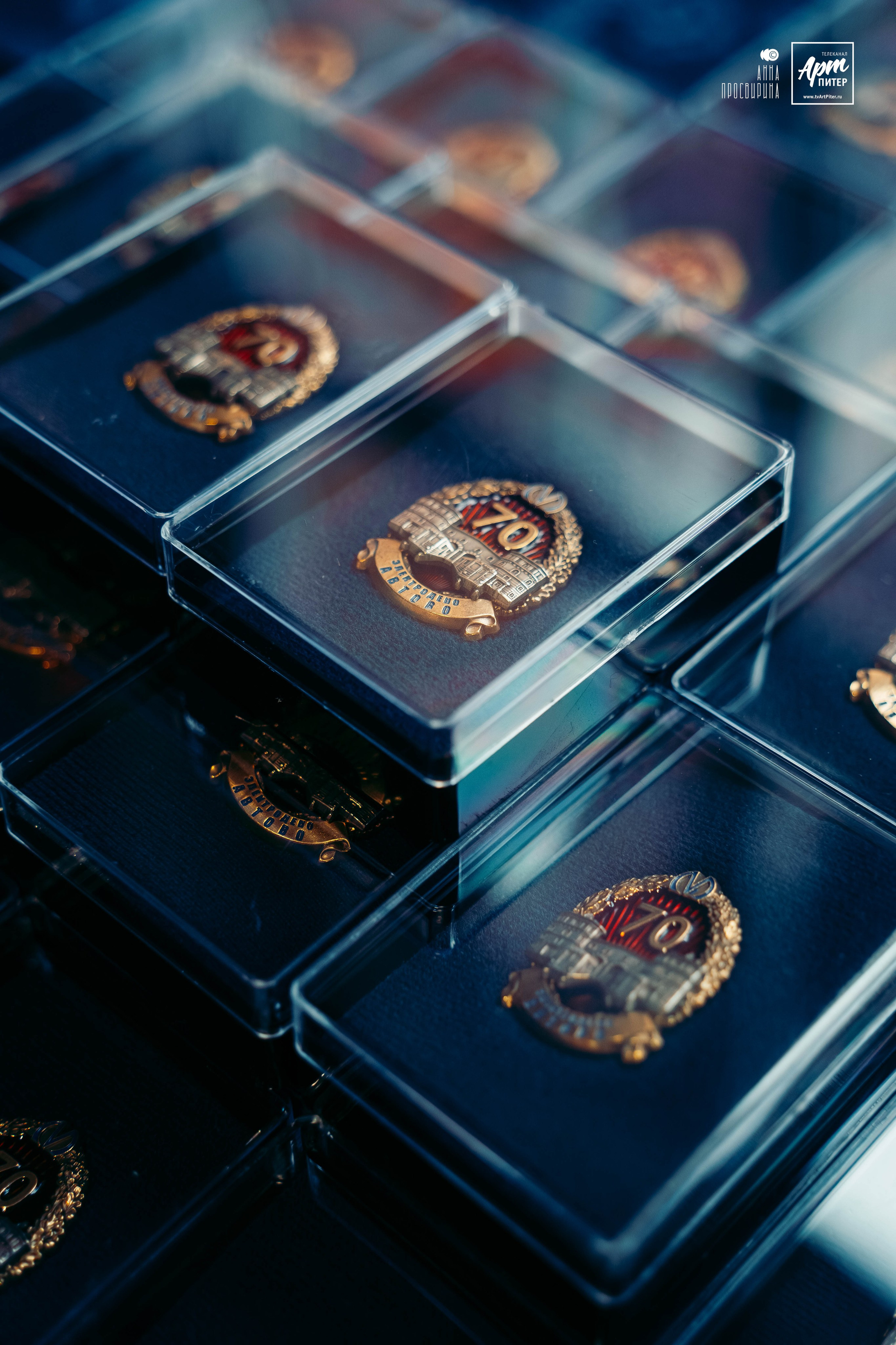 Ноябрьская сборная солянка. Ваш фотограф в Санкт-Петербурге Анна Просвирина