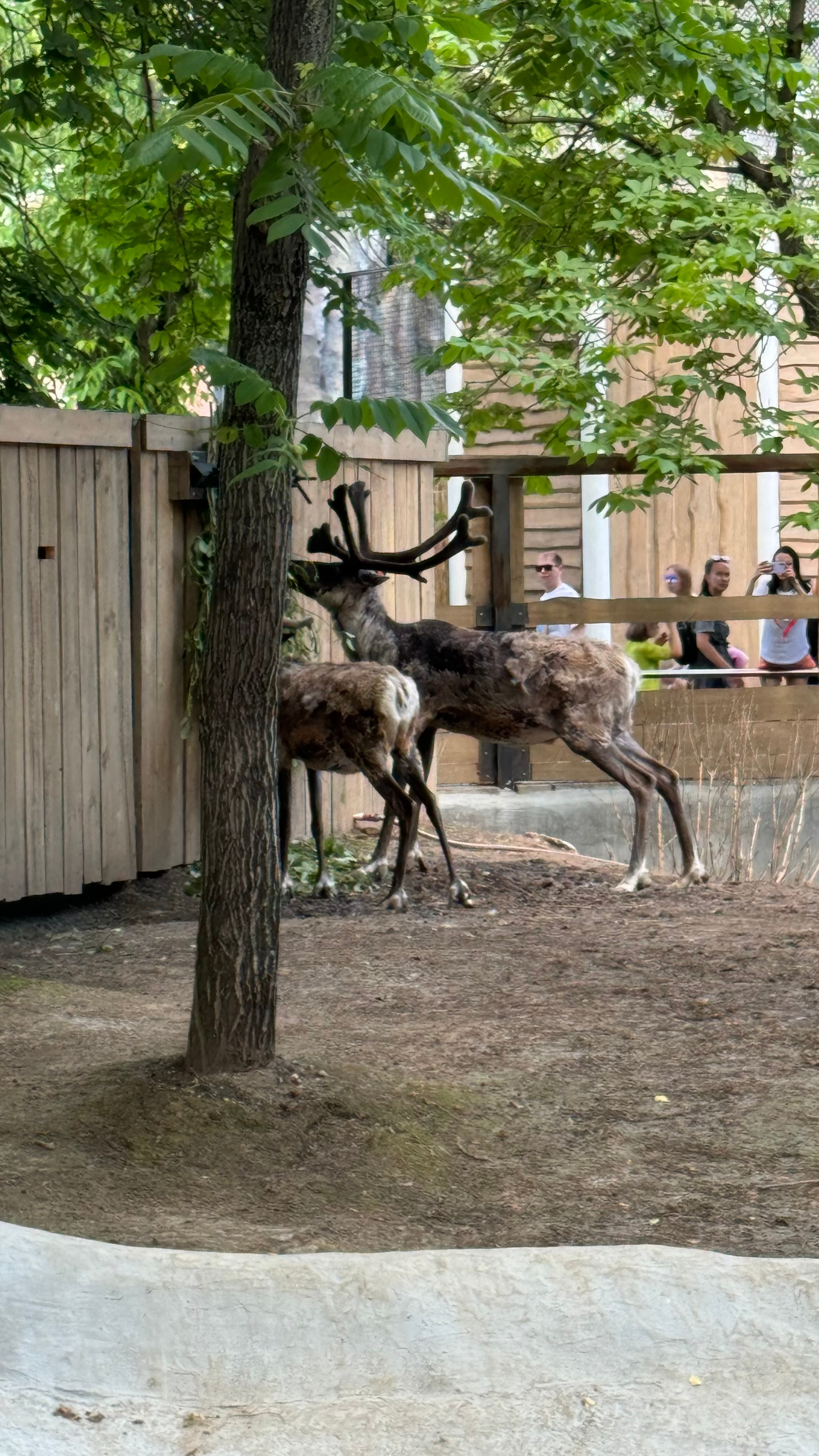 Приглашаем в арт-лагерь в Москве для детей!. Арт-вечеринки и мастер-классы в Москве для взрослых и детей