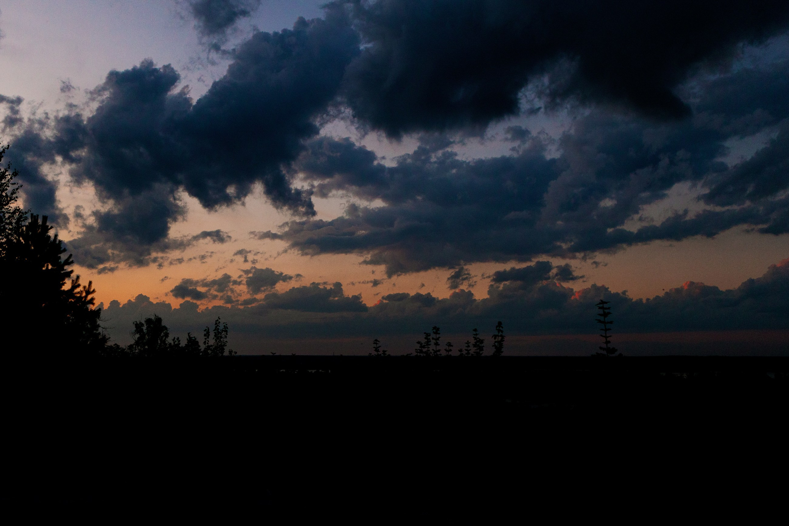 Евгений и Виктория. LEVORIGINAL