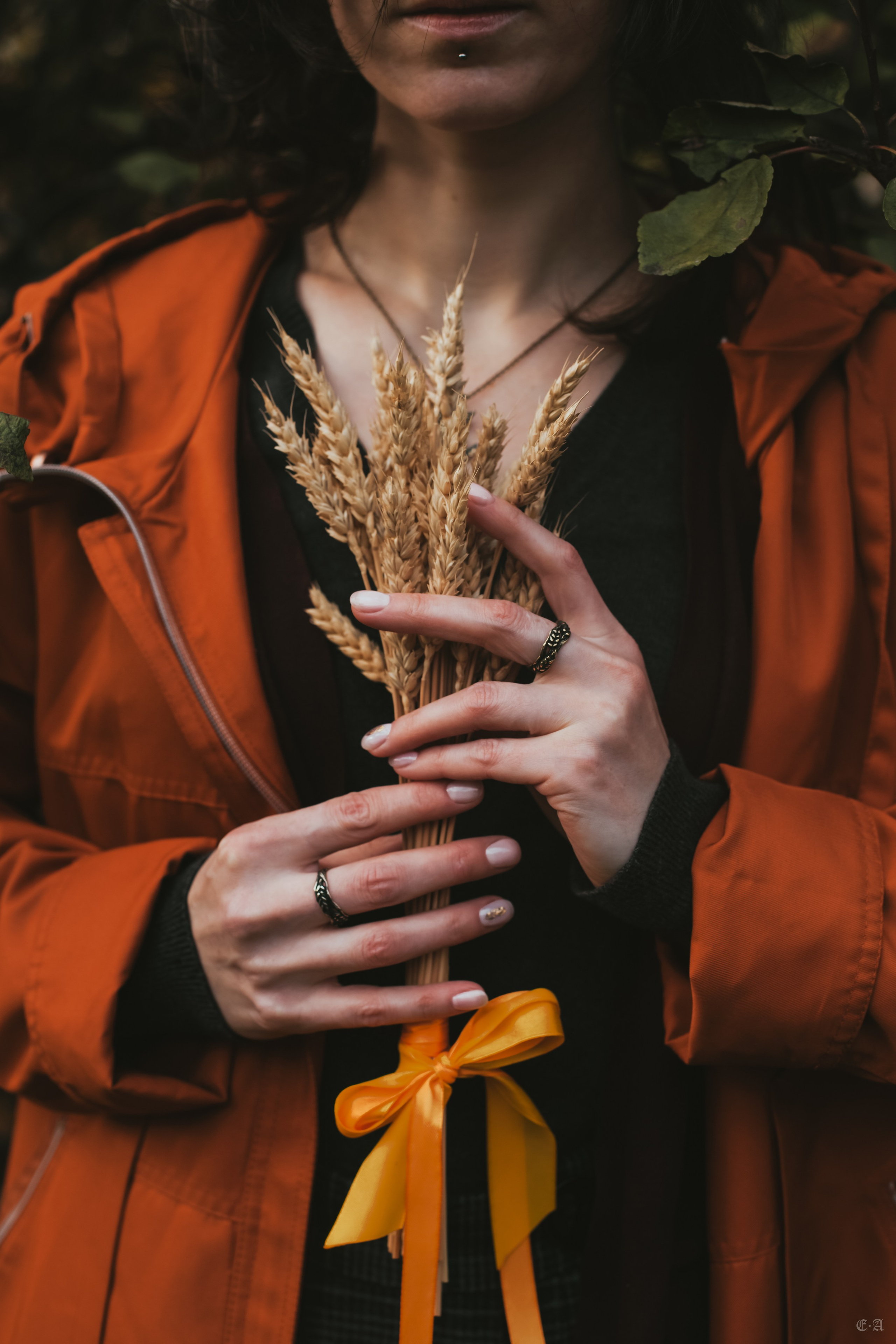 Осенние колосья для Белой Волчицы. Фотограф Ellairen