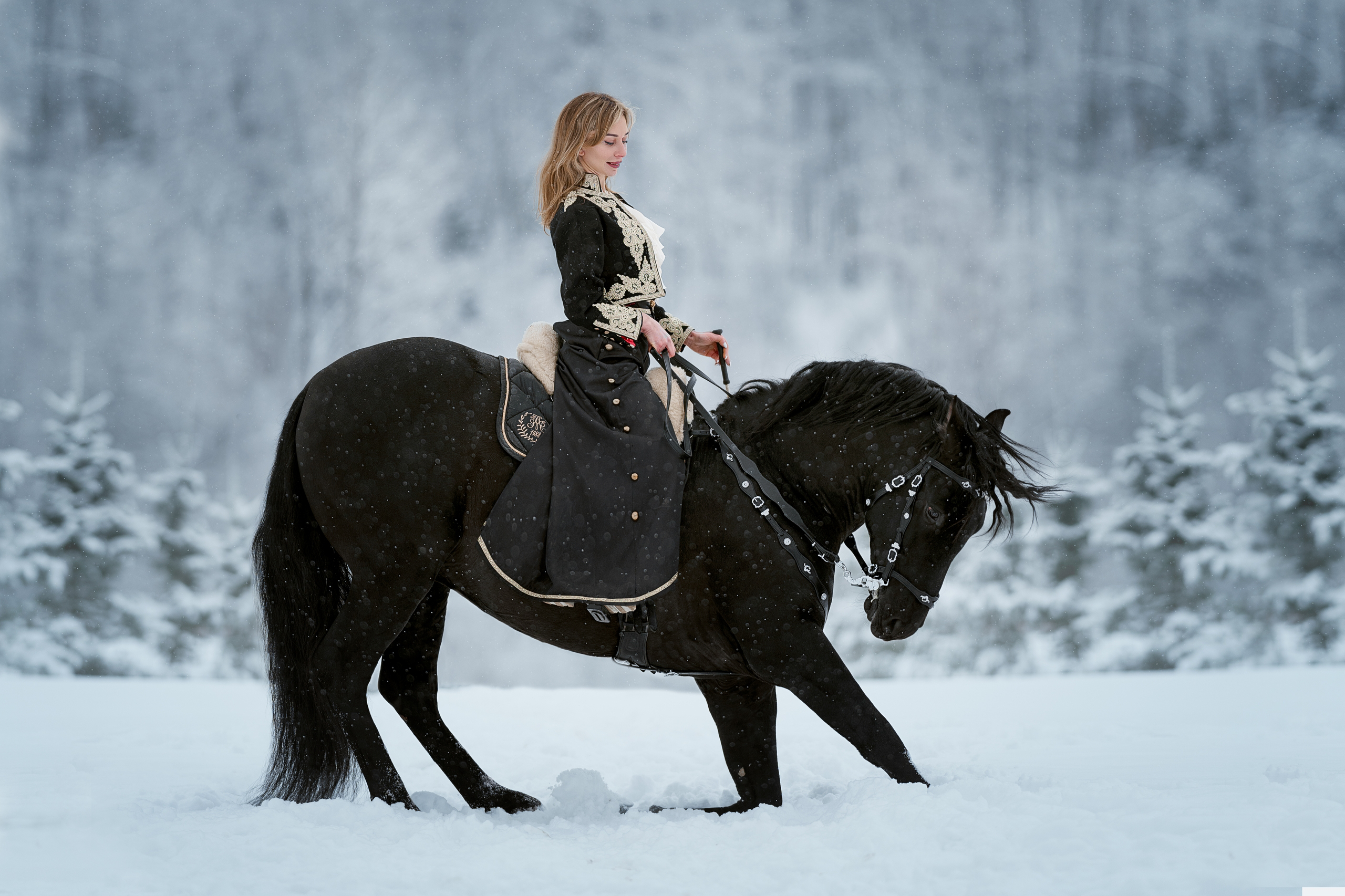 Фотосессии с лошадьми. Фотограф Артемьева Катерина|фотосессии с лошадьми