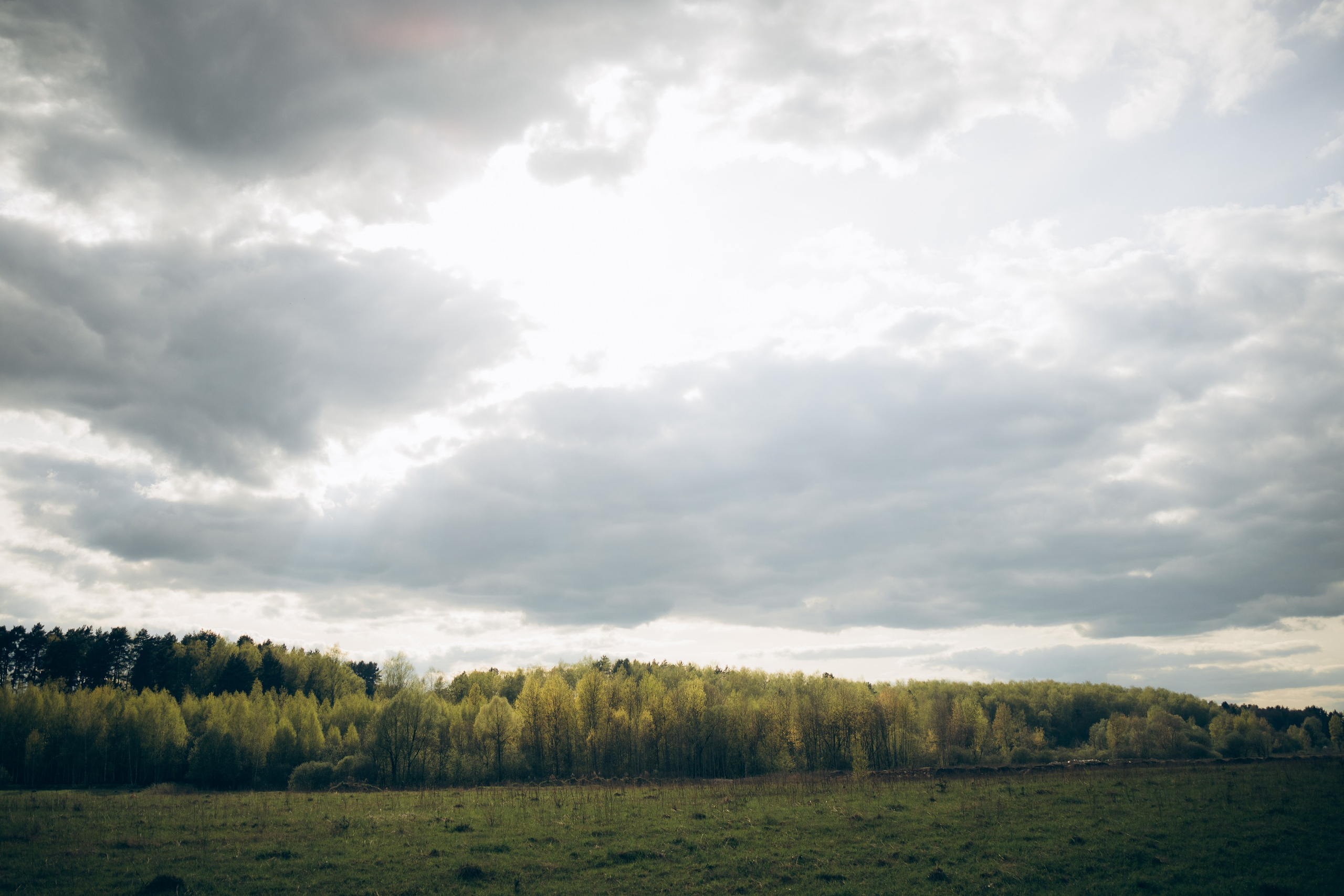 Istra. Женский фотограф Истра