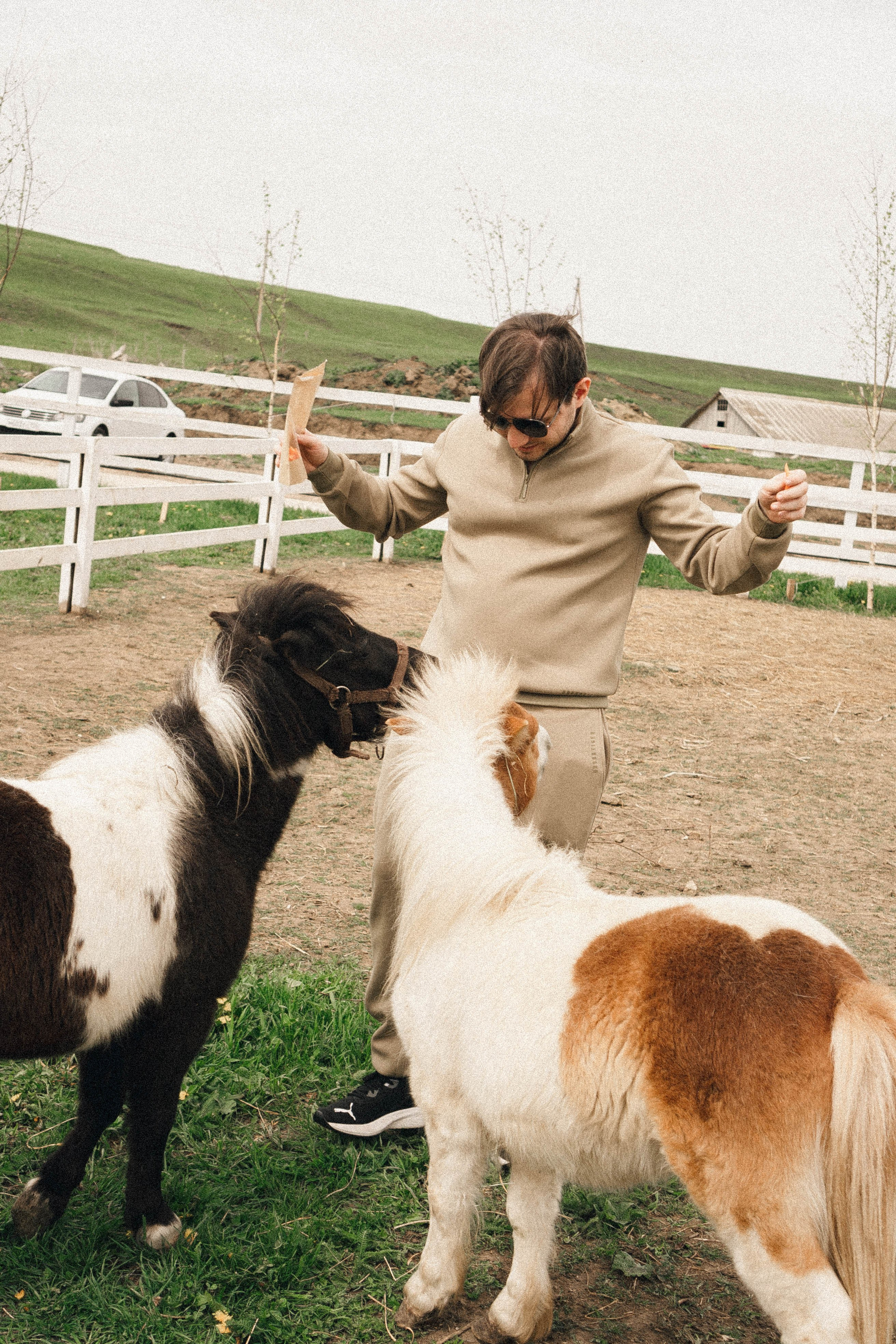 Ферма Альпак. Профессиональный фотограф, Санкт-Петербург — Виктория Богомолова