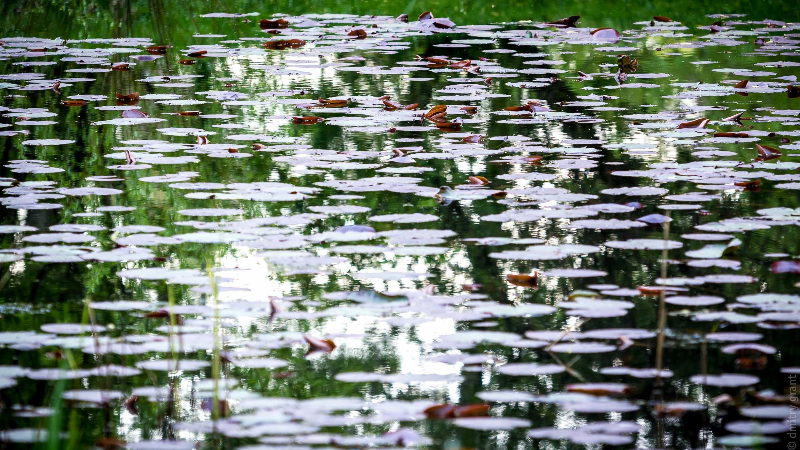 ТАТЬЯНА, АЛЕКСАНДР И ГРИША. Фотограф Дмитрий Грант