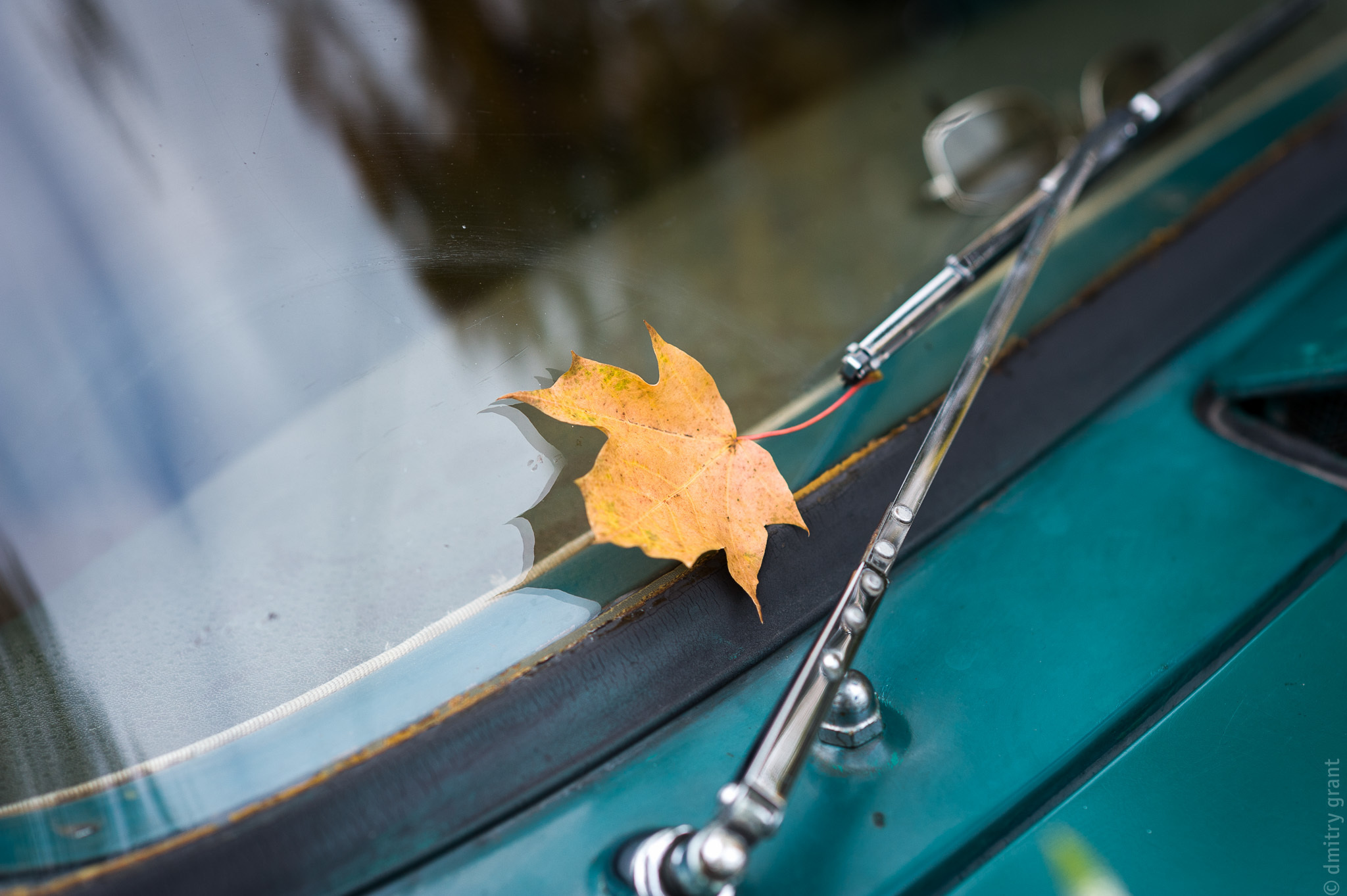 ИРИНА + ИГОРЬ. Фотограф Дмитрий Грант