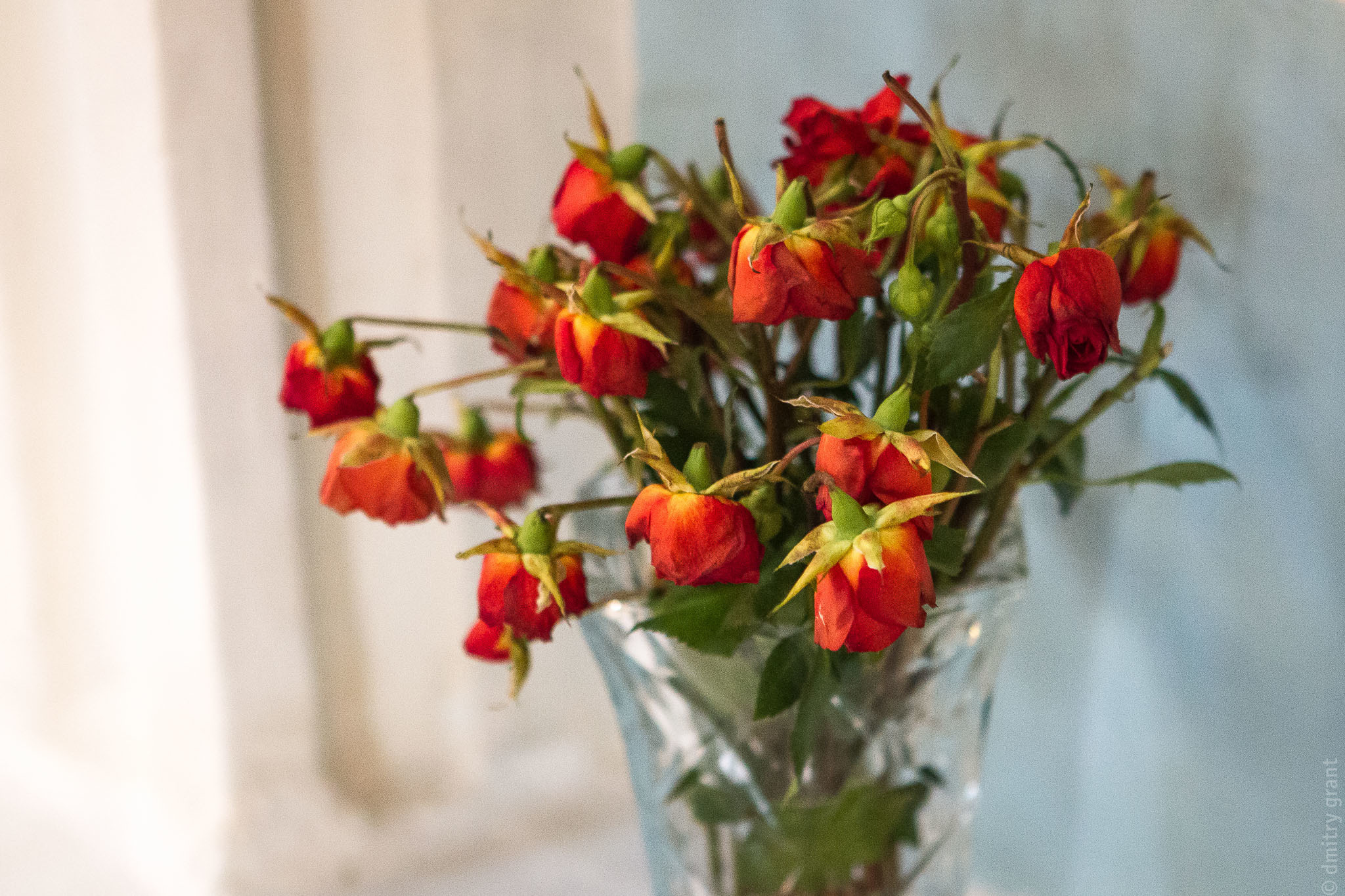 УЛЬЯНА + МАКСИМ. Фотограф Дмитрий Грант