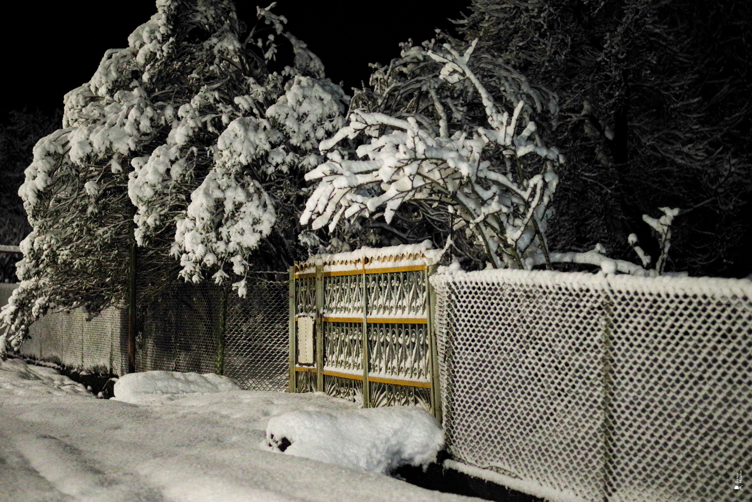 Ночь в Менджи. Портретный фотограф Денис Милютин