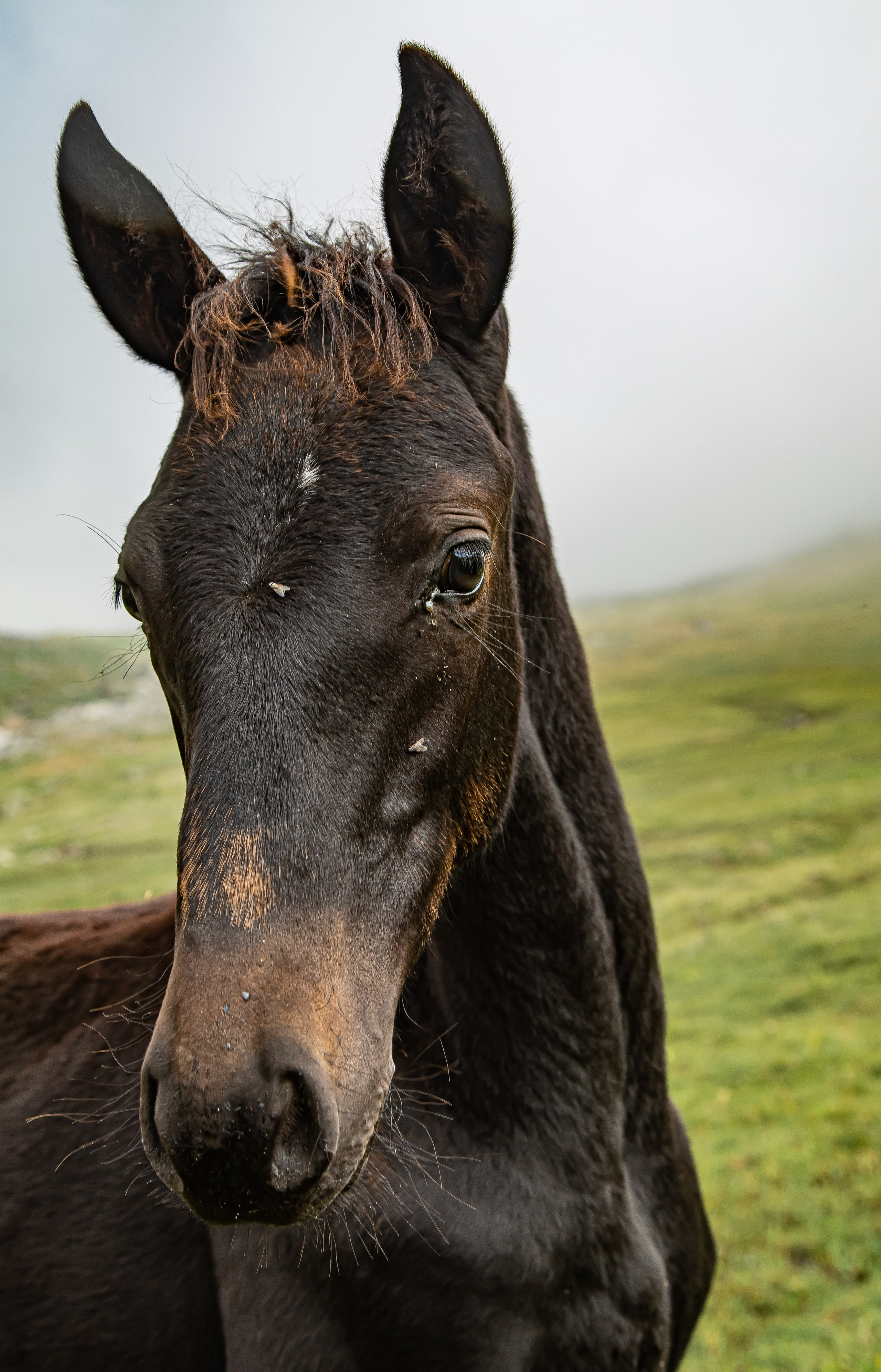 КАВКАЗ. Авторские туры с профессиональным фотографом