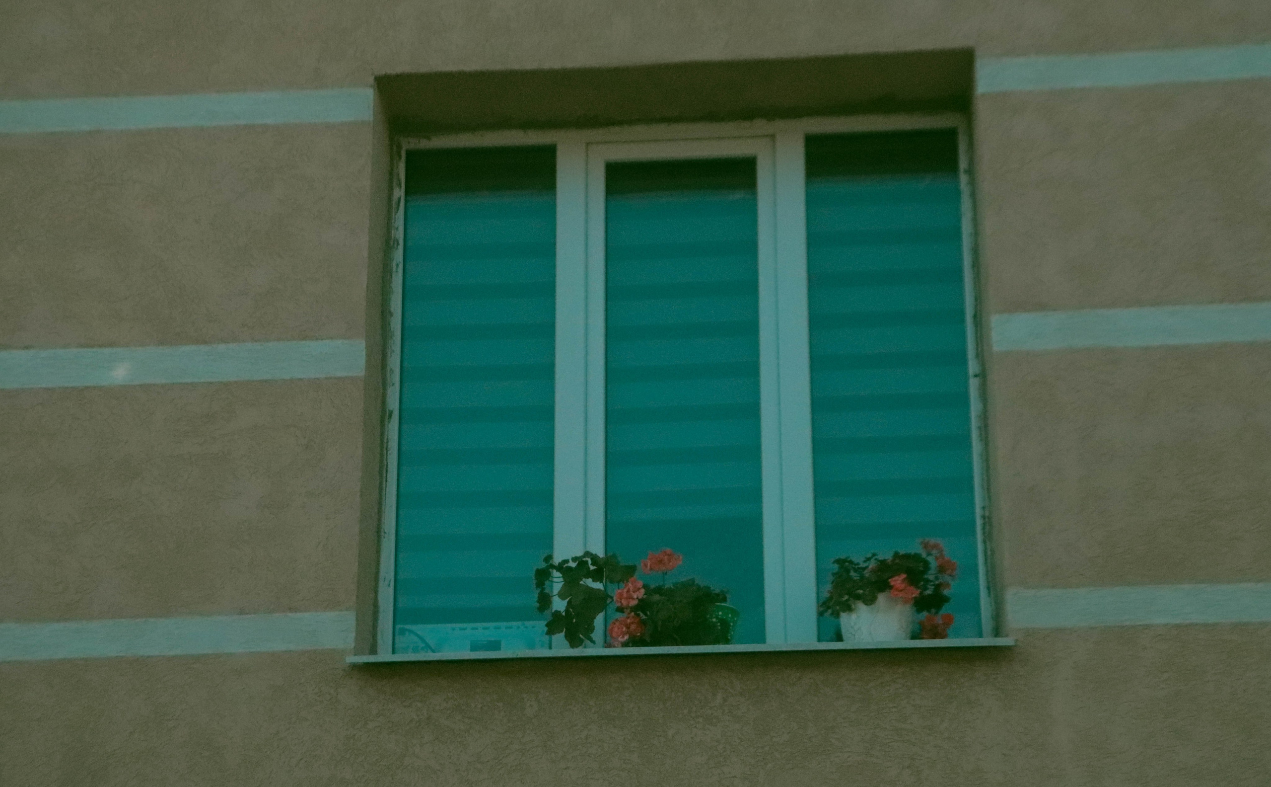 Альметьевск. Фотограф и видеограф в Бугульме Аня Трутнева