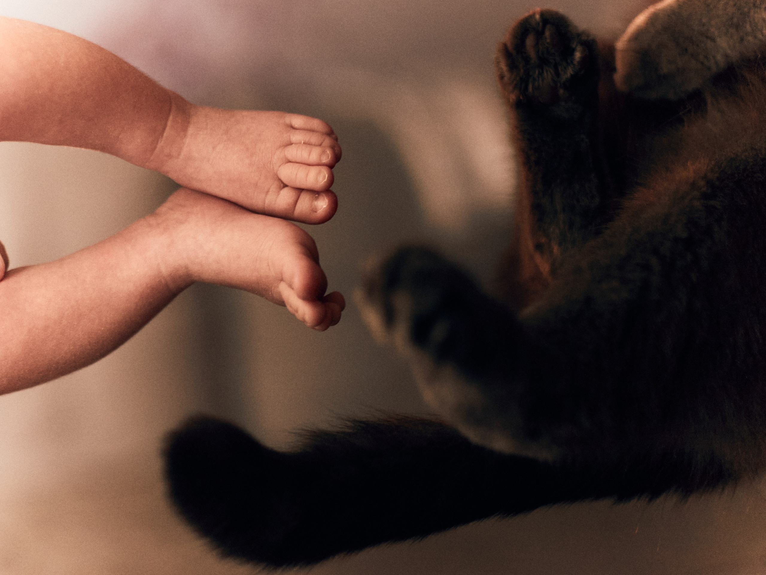 Кристина, Деним и малыш Леон. Фотограф и видеограф в Бугульме Аня Трутнева