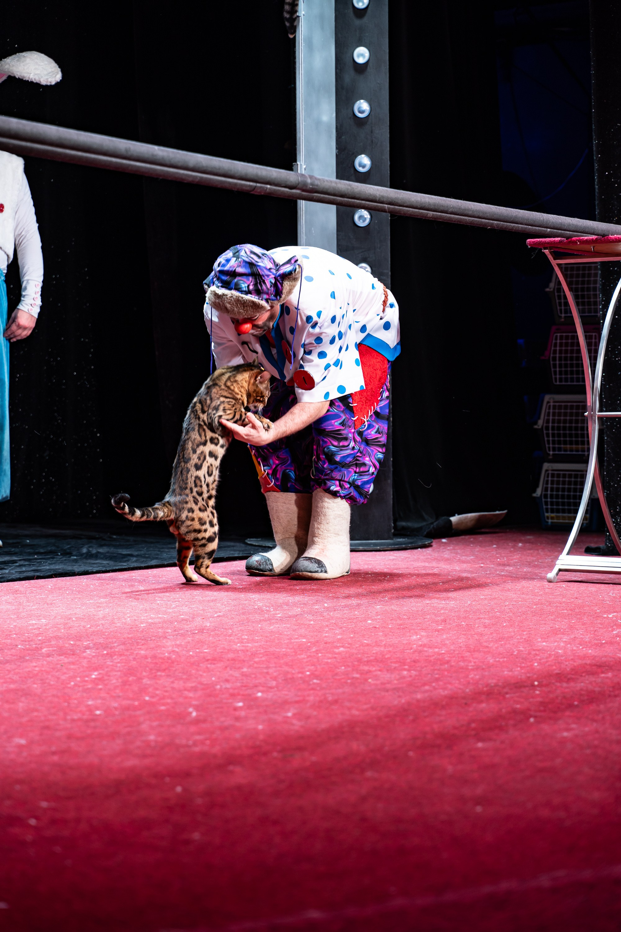 Театр Куклачева и его закулисье. Разноплановый фотограф в Москве