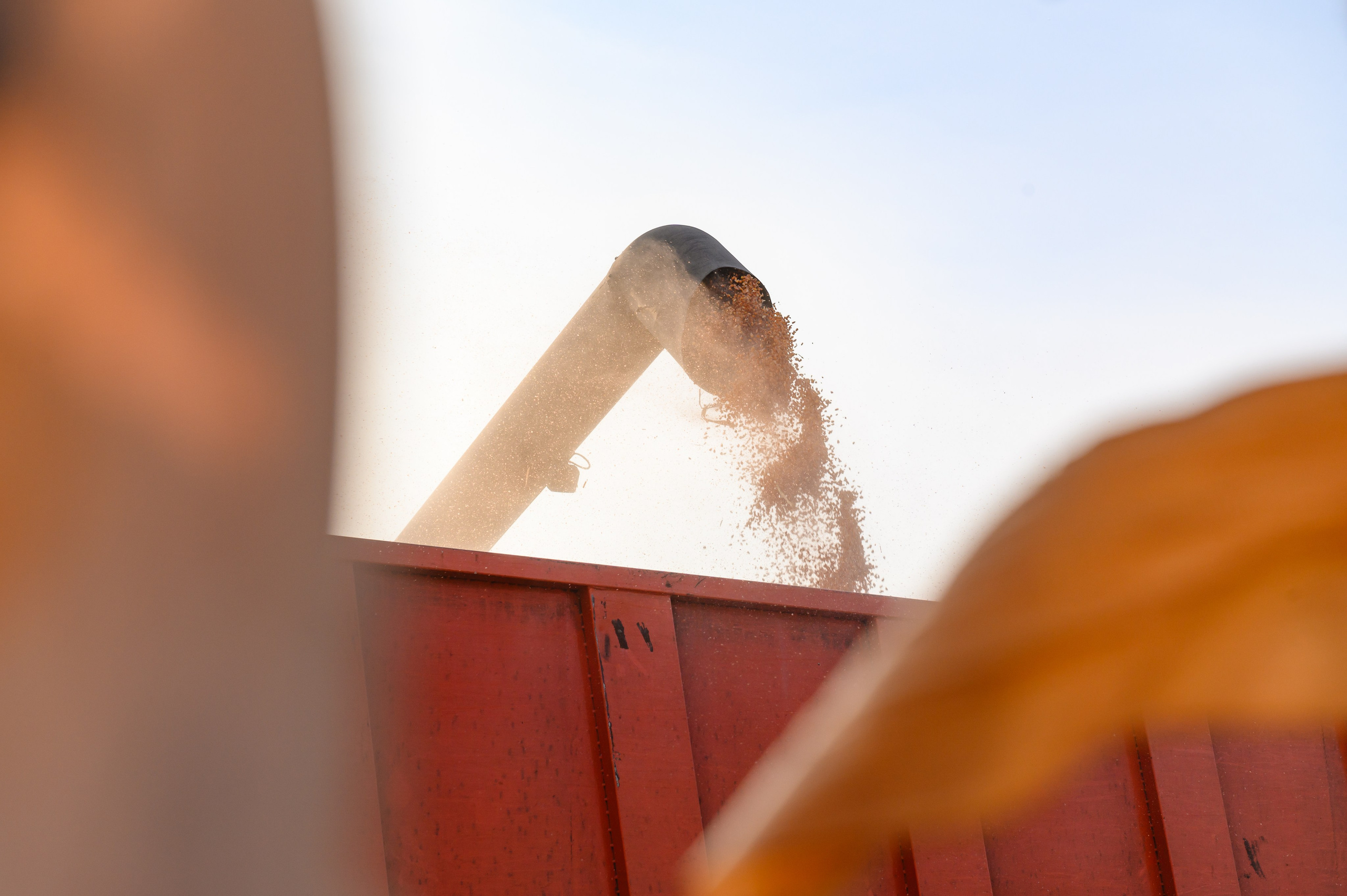 Проекты. Профессиональный фотограф Вячеслав Плацында | Липецк |