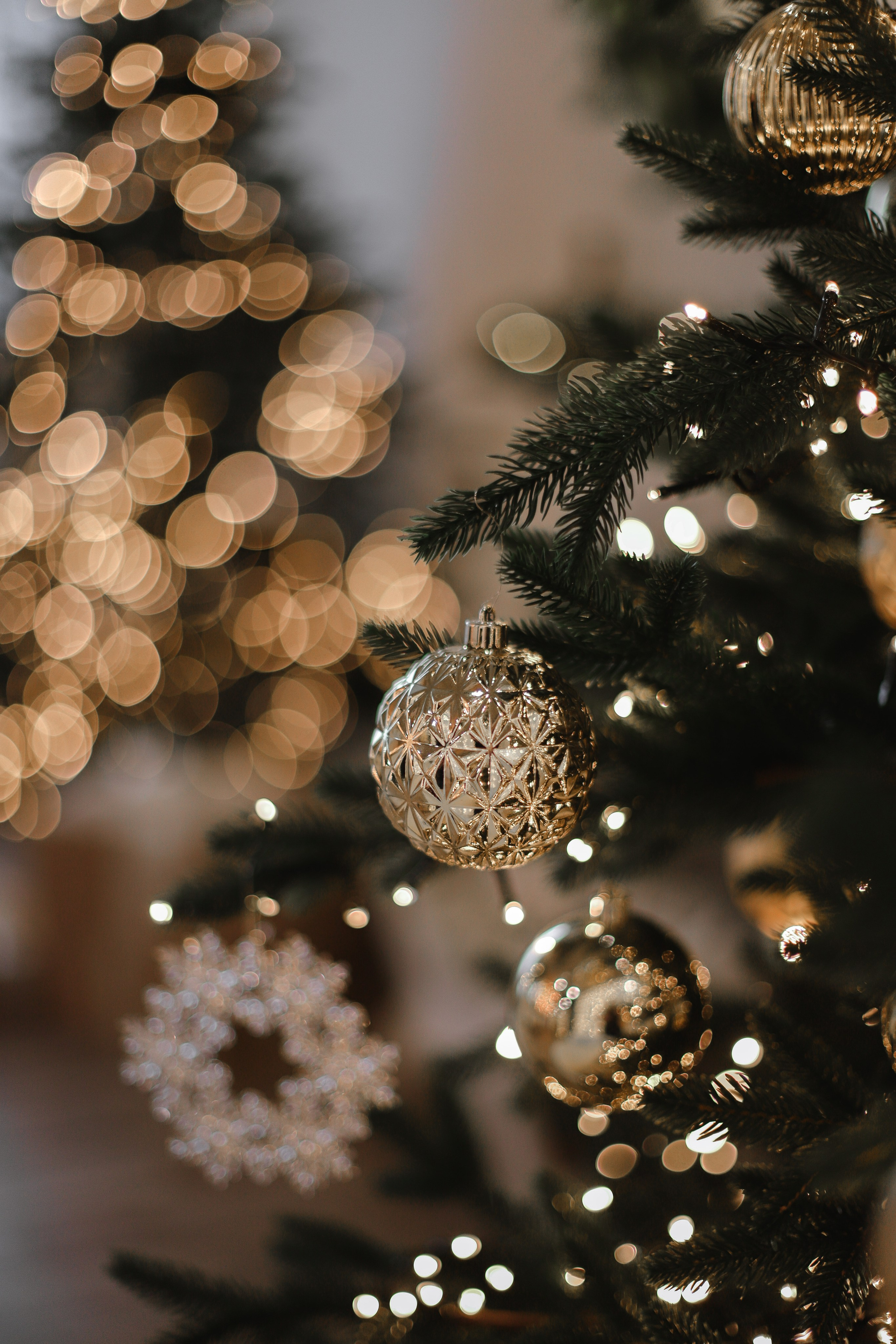 Иван, Лиза и Мирон. Свадебный, семейный и детский фотограф в Люберцах Зайцева Анастасия