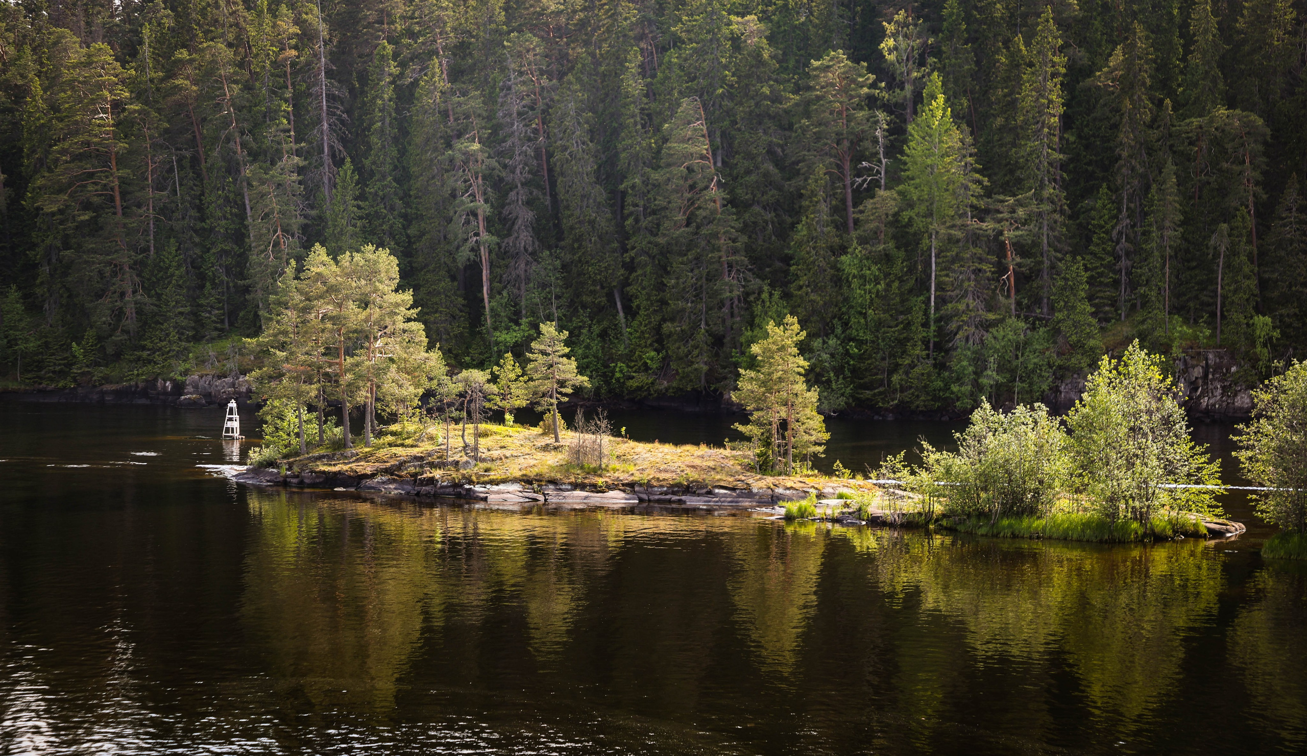 ПЛАНЕТА ЗЕМЛЯ (пейзаж). АЛЕКСЕЙ КОЛМАКОВ. Фотограф. Москва и Московская область