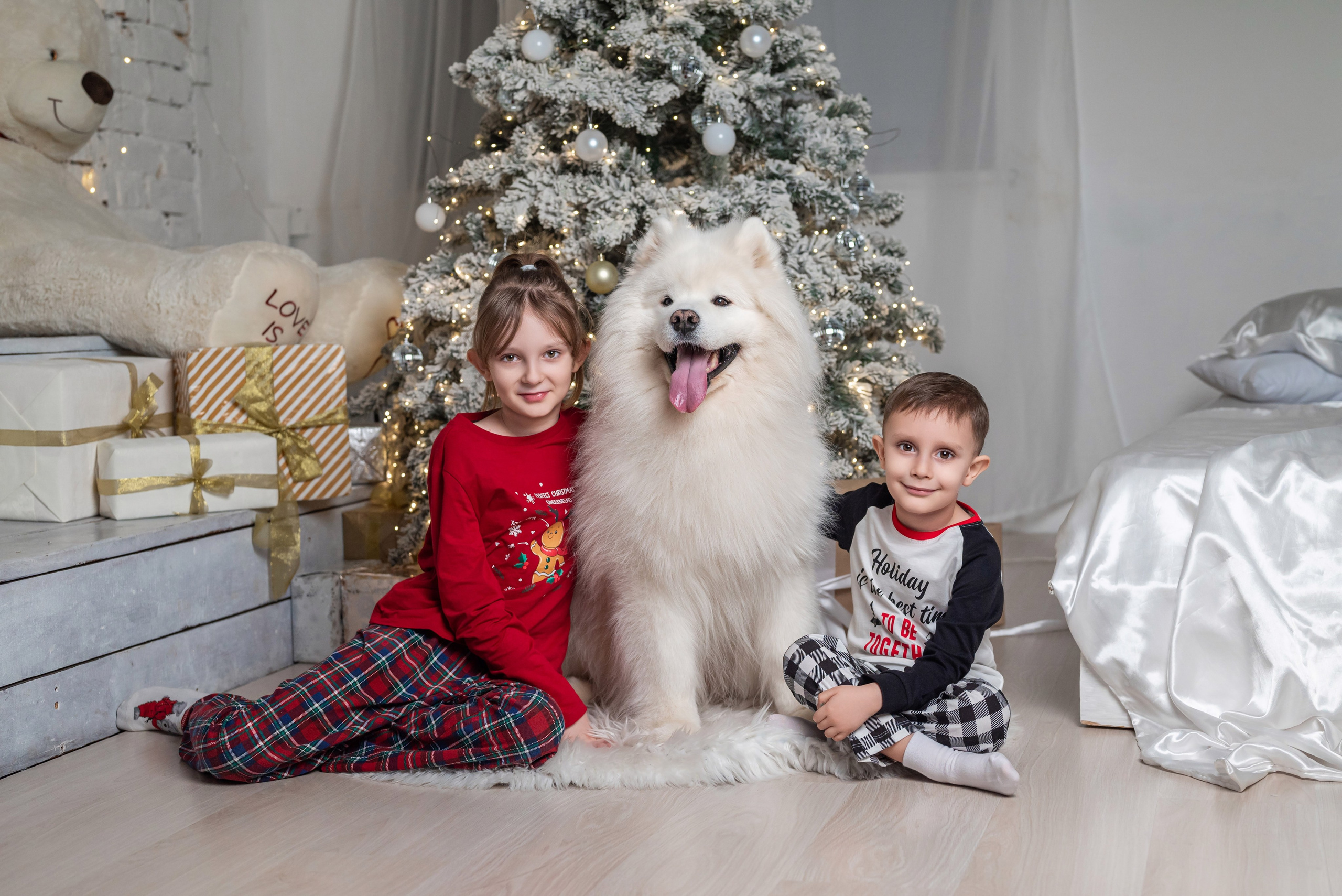 Фотопроект с самоедом 2023 г. Фотограф в городе Салават