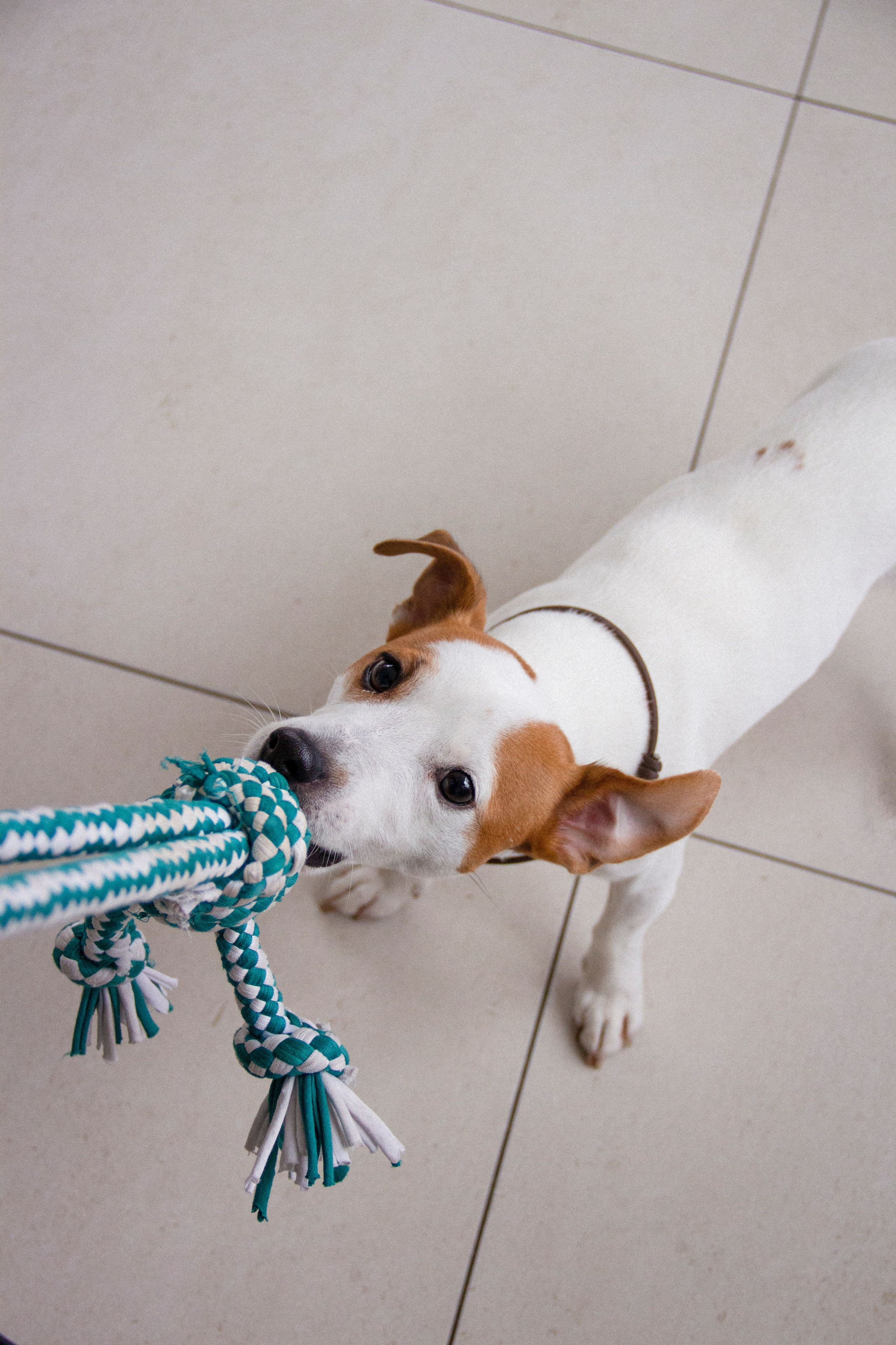 Валерия и Алексей. Фотограф в Санкт-Петербурге Смирнова Диана
