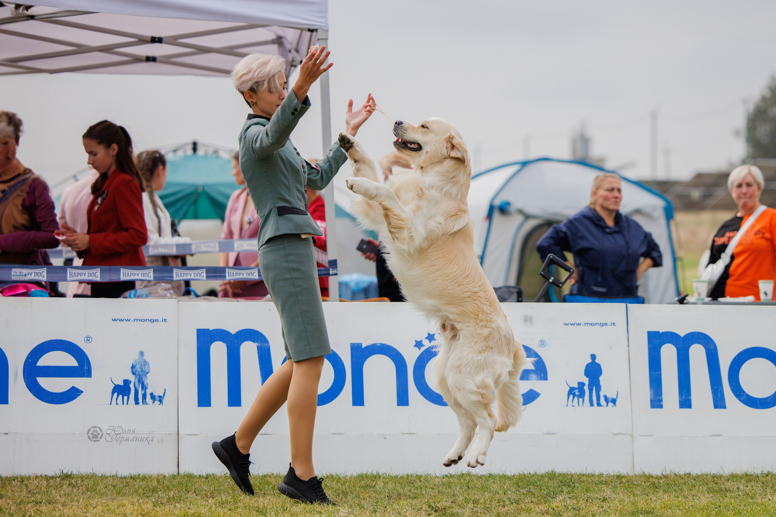 Армения,Ереван 3хCACIB 15-17.10.2024. Фотограф-анималист Юлия Германика
