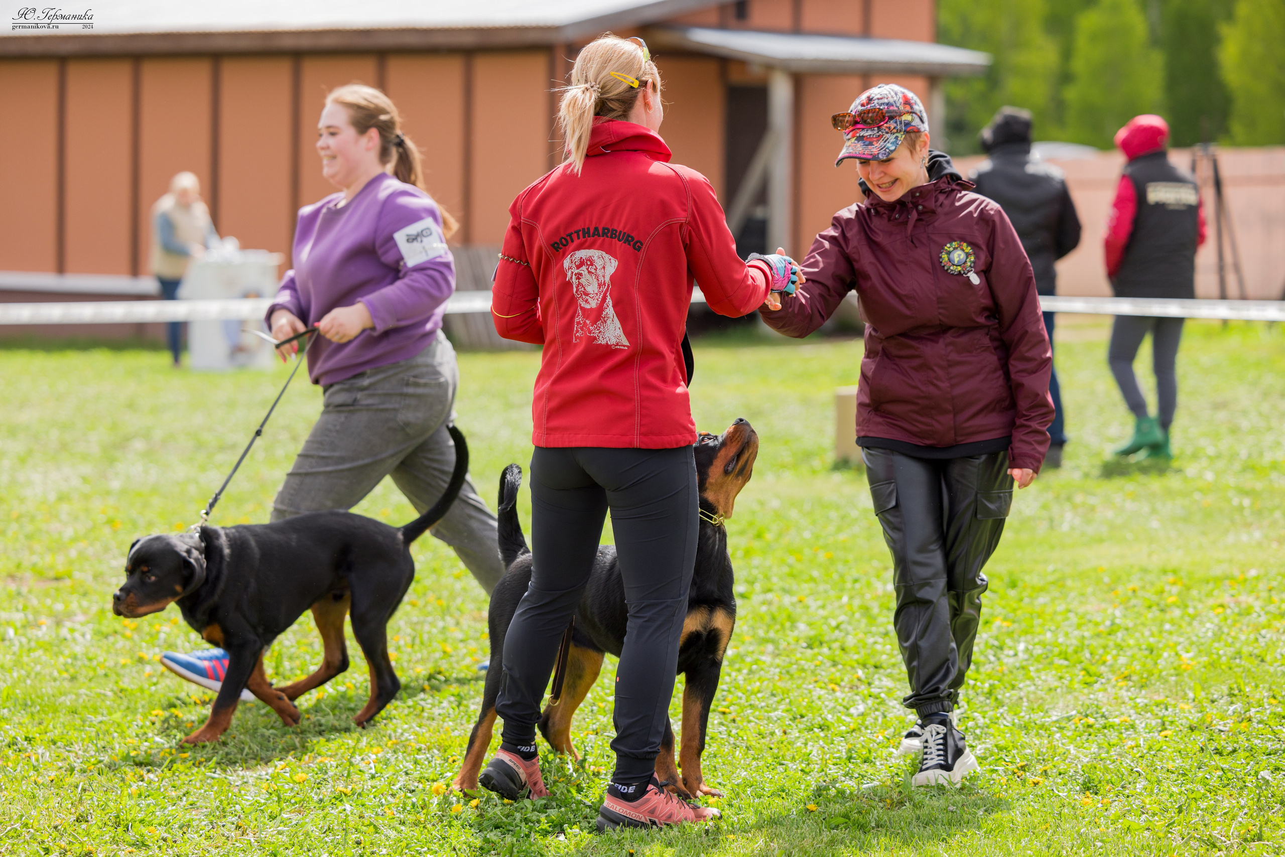 Нижний Новгород 11-12.05.2024 моно ротвейлеров. Фотограф-анималист Юлия Германика