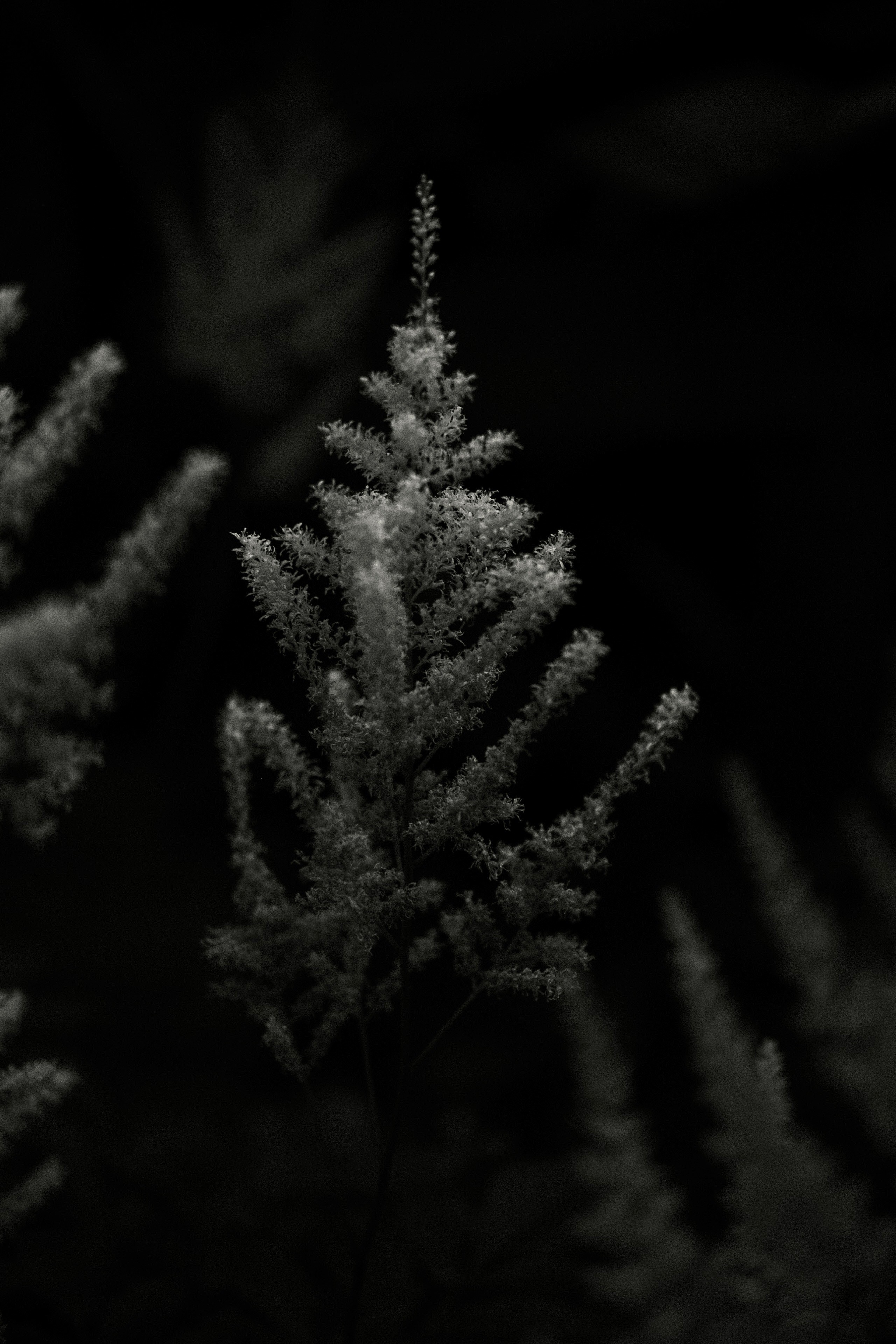 Природа. Фотограф Маргана Лоция