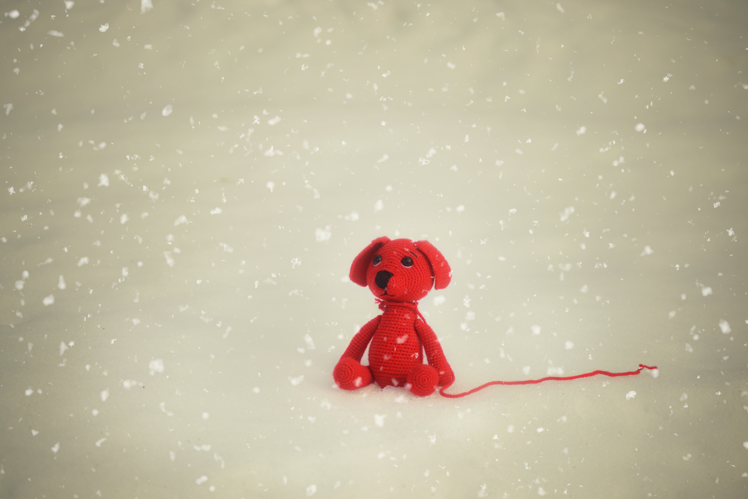 Фотограф Карпова Екатерина в Коломне и области