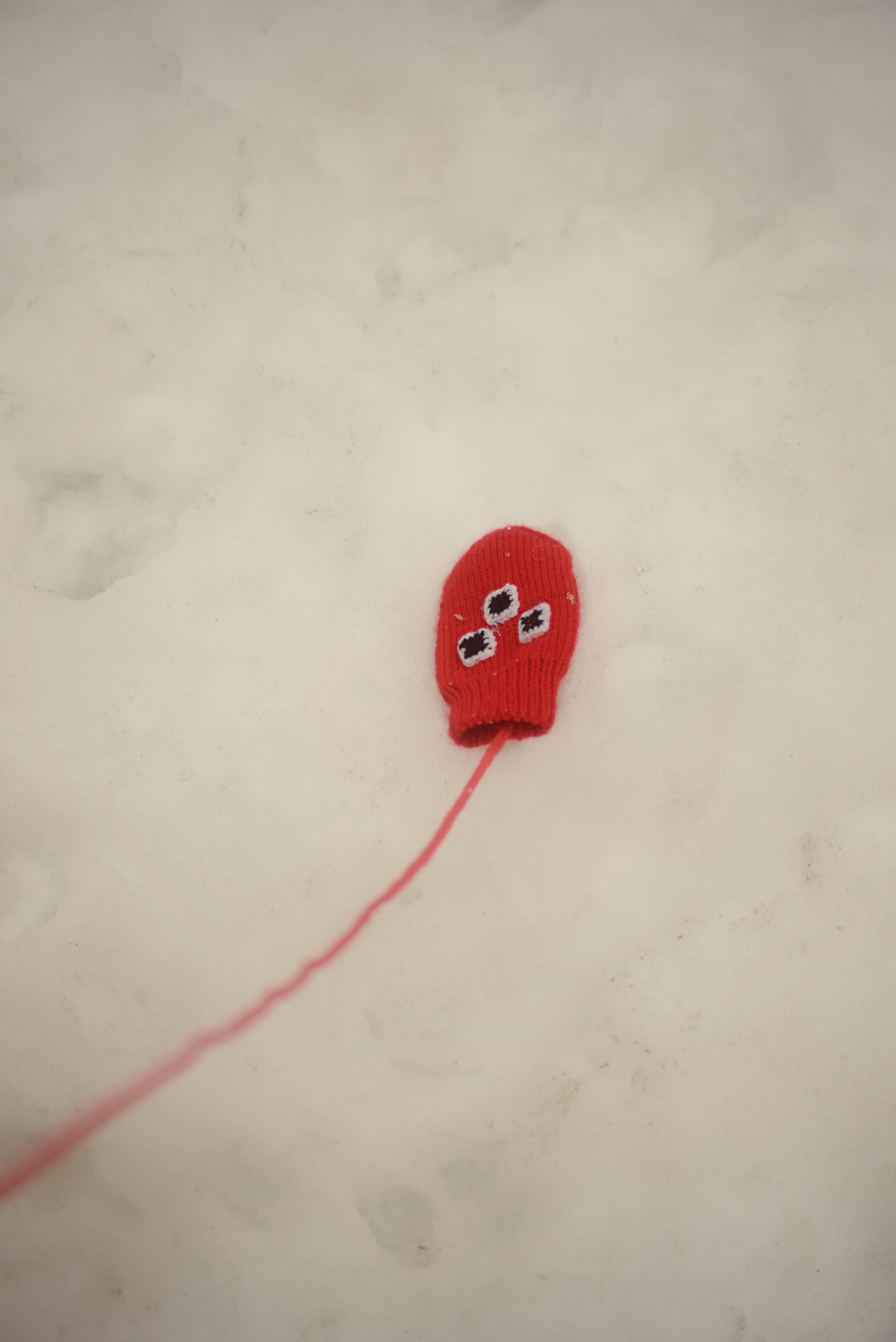 Фотограф Карпова Екатерина в Коломне и области