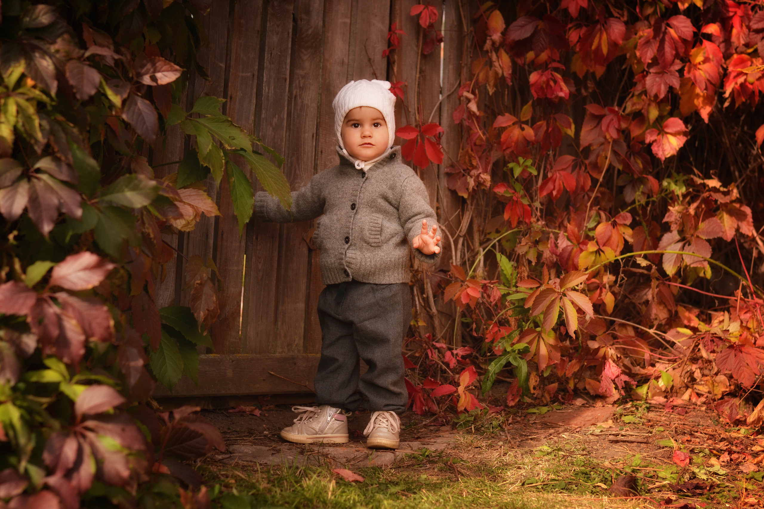 Репетитор Photoshop. Фотограф Карпова Екатерина в Коломне и области