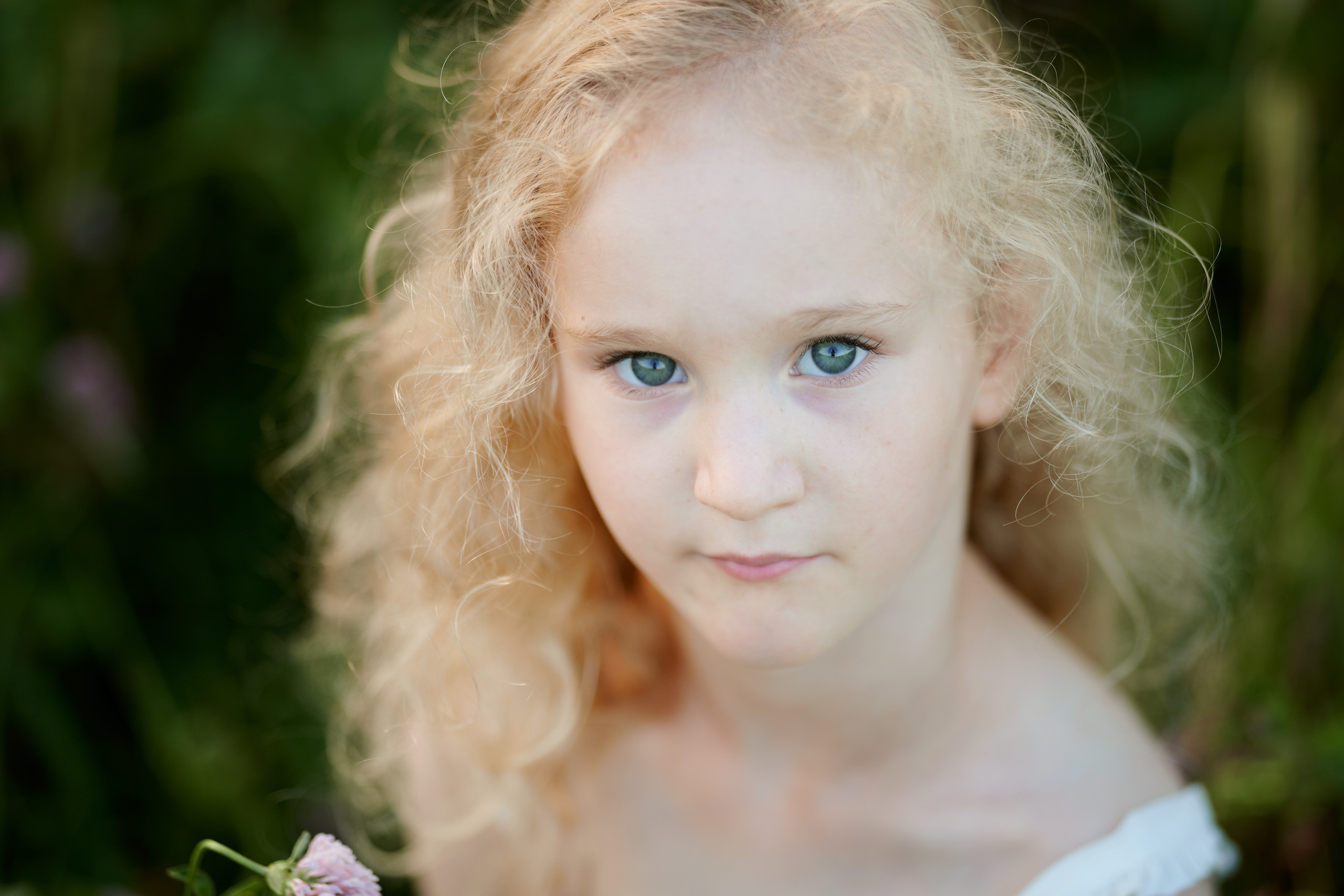 Полевые цветы