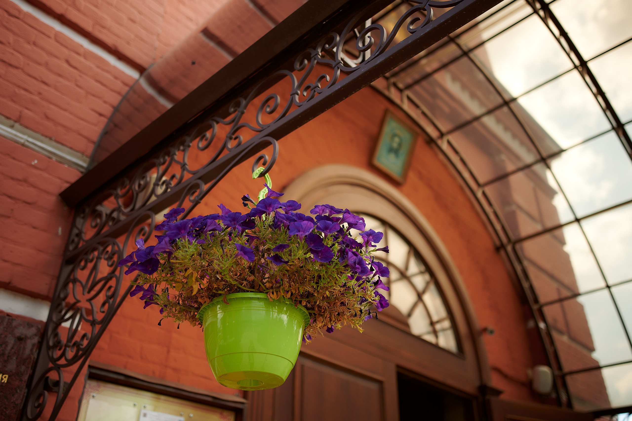 Крестины Ольги