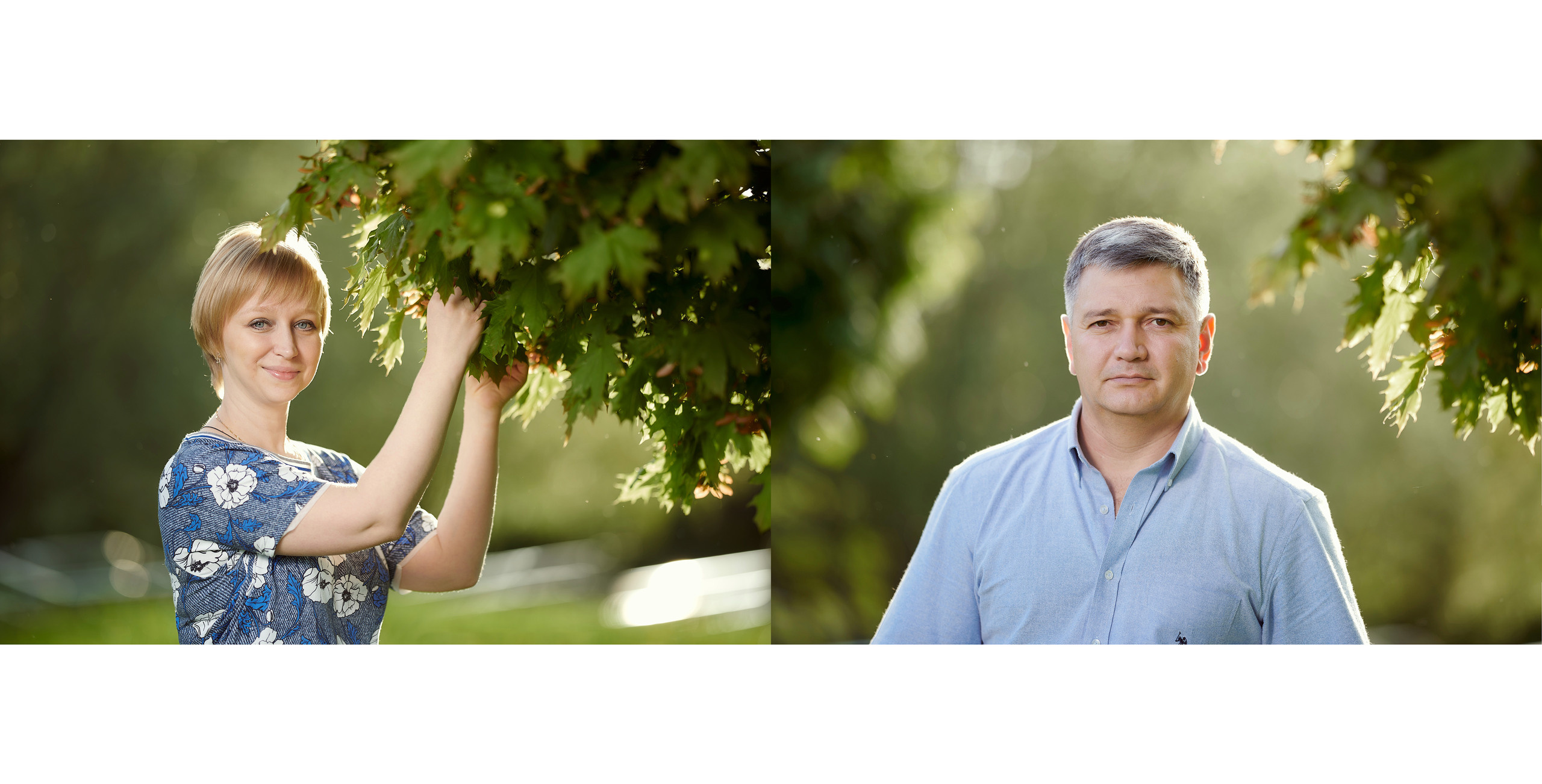 Летний вечер в парке