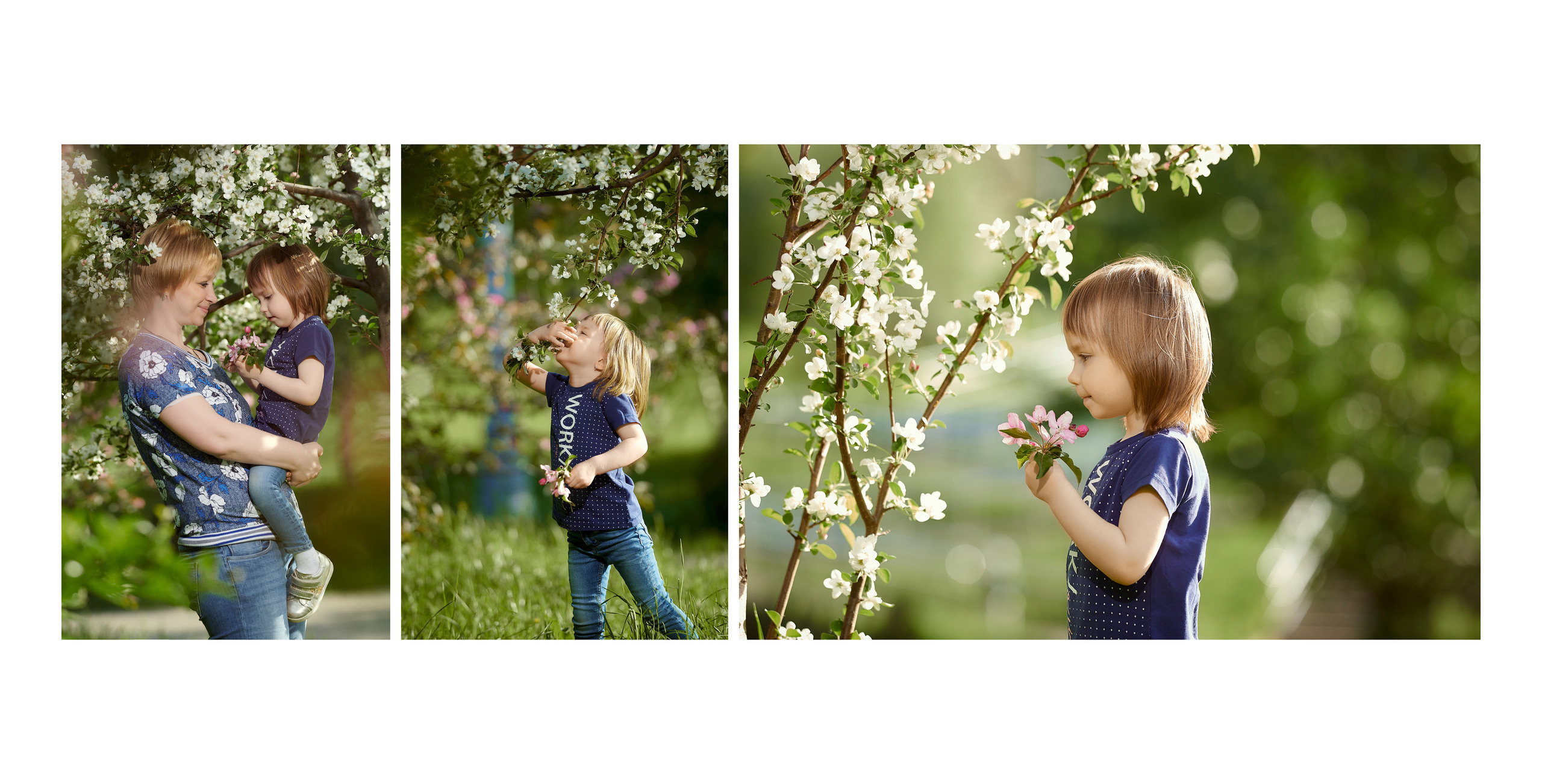 Летний вечер в парке