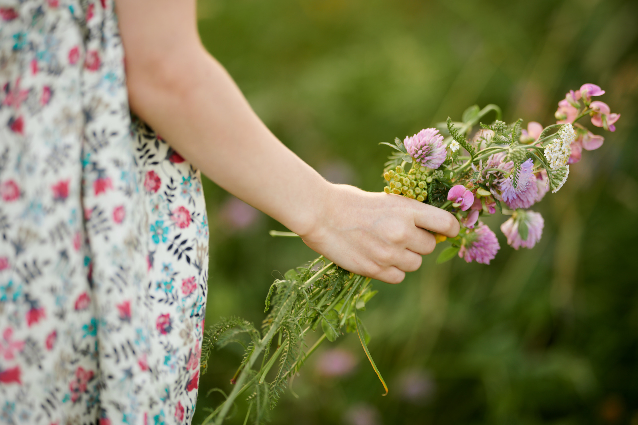 Полевые цветы