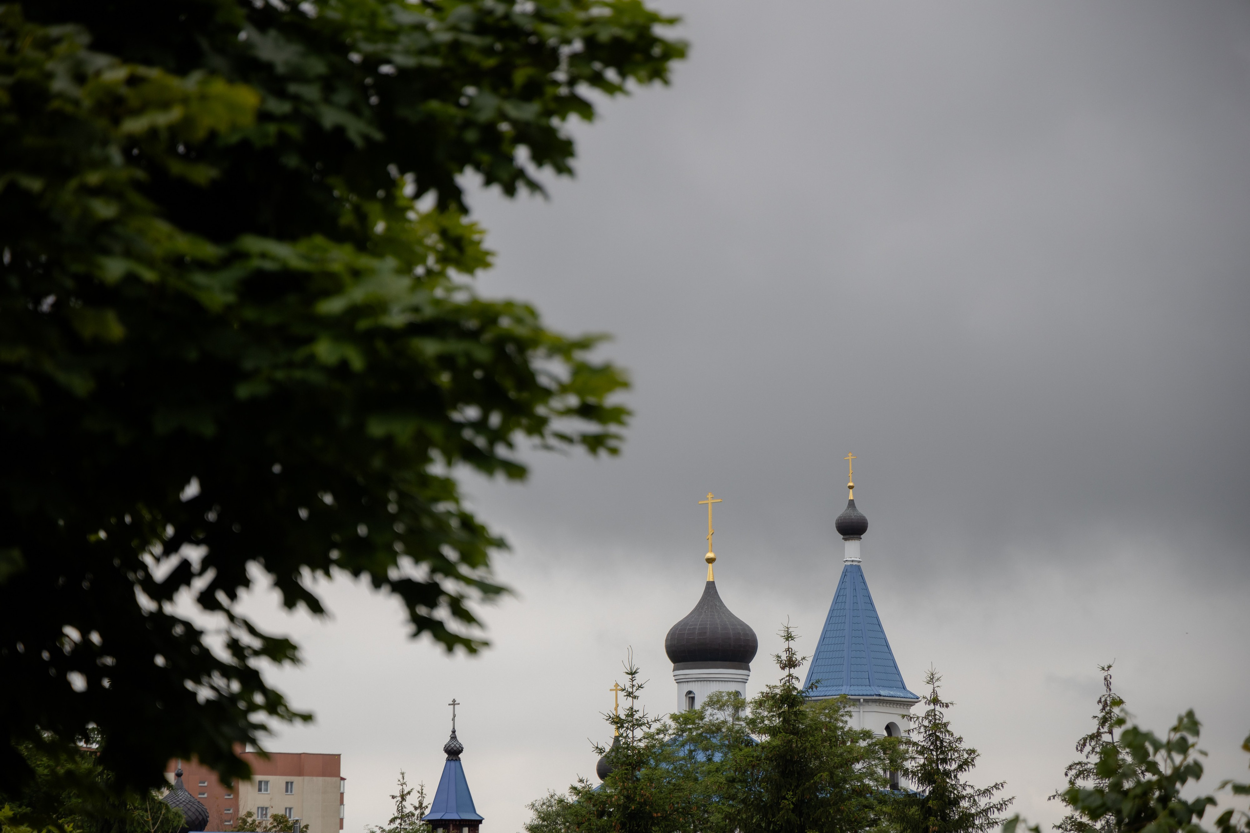 Школьный выпускной 2024 год в Соколе (Минск). Свадебный фотограф в Минске/Беларуси Сергей Спиридонов