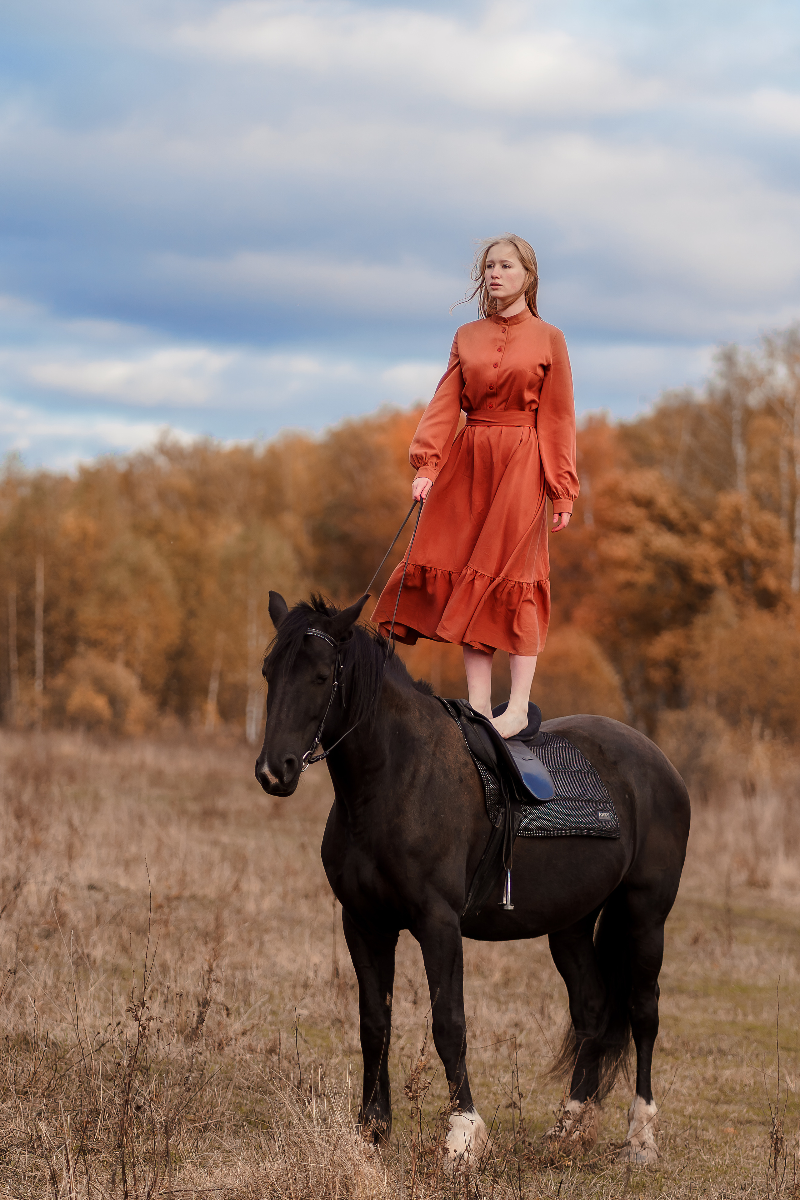 Прогулка на лошадях. Коломна