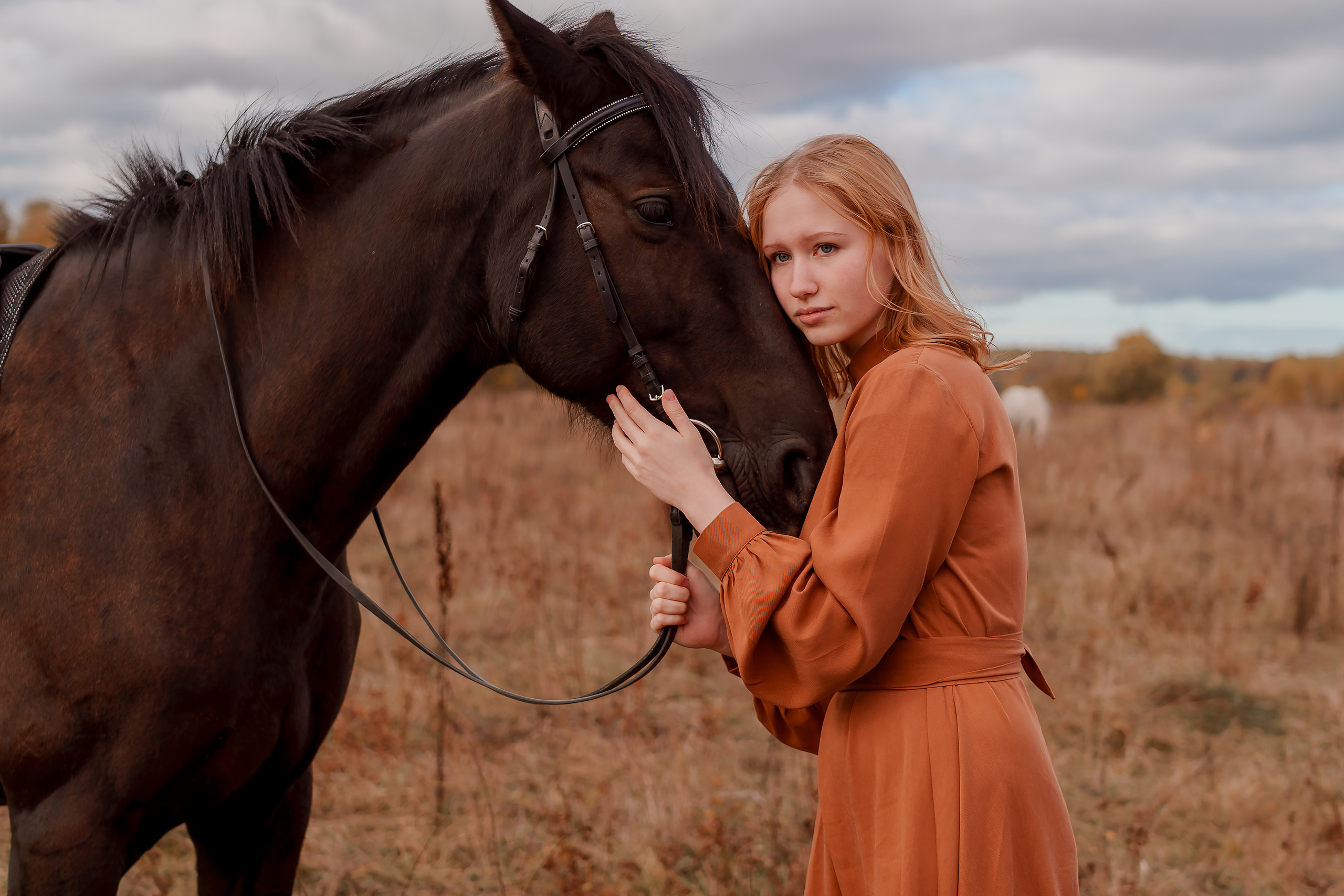 Прогулка на лошадях. Коломна