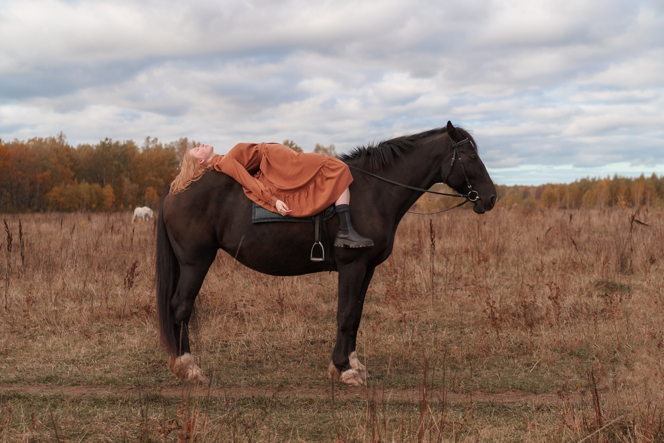 Прогулка на лошадях. Коломна