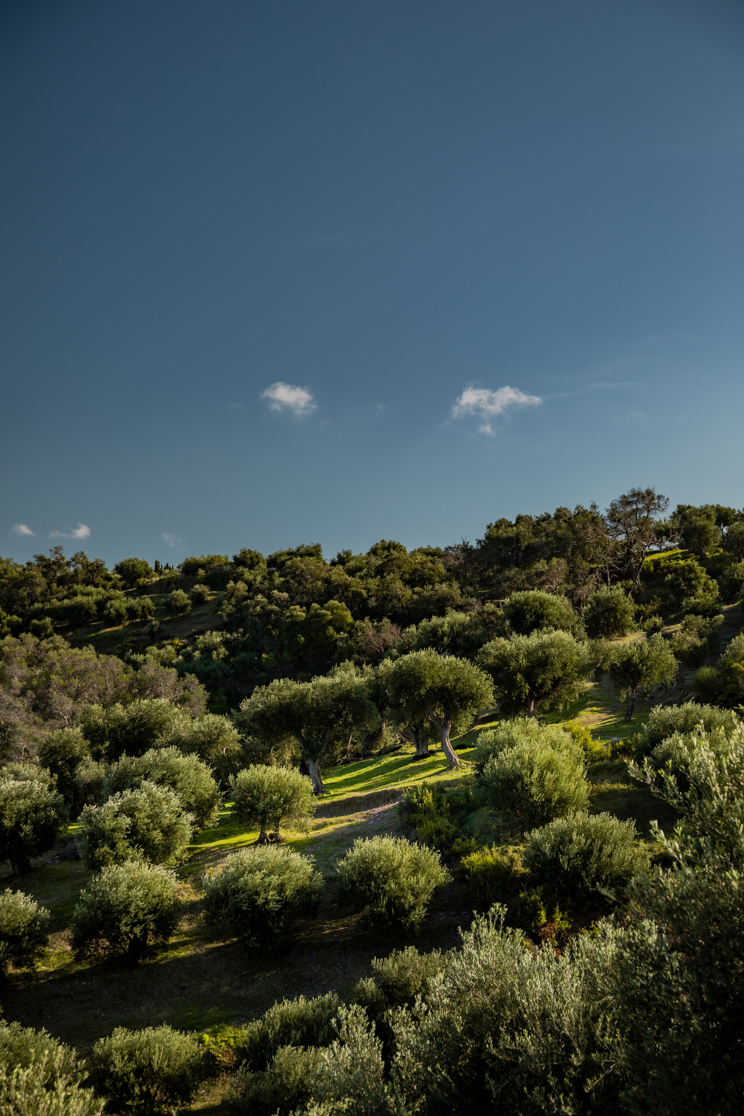 TRAVEL&NATURE. NE Cinema — backstage and reportage photography in cinema, music, Automotive and sport