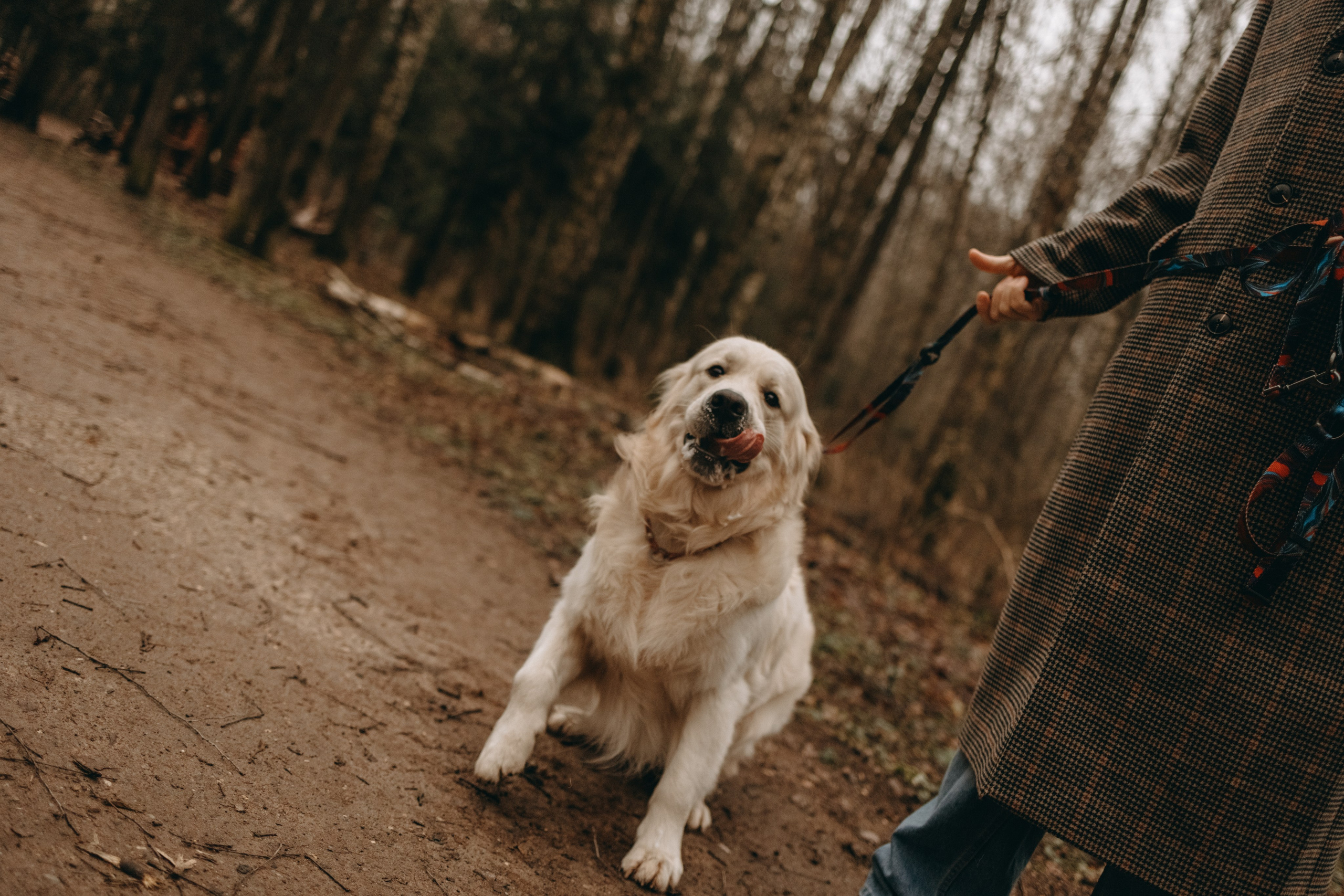 Лаки и его семья. Фотограф — Анималист | Санкт-Петербург